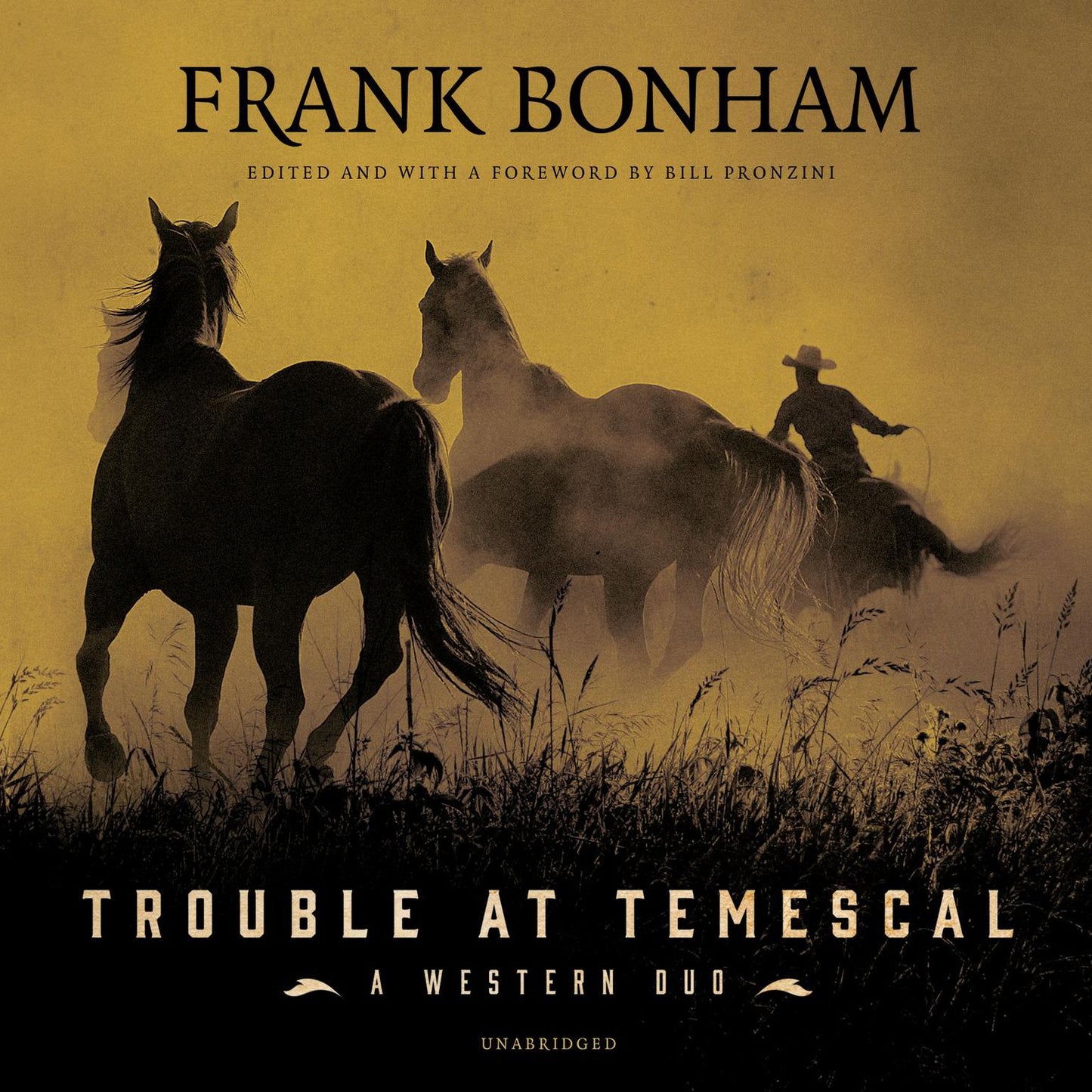 Trouble at Temescal: A Western Duo