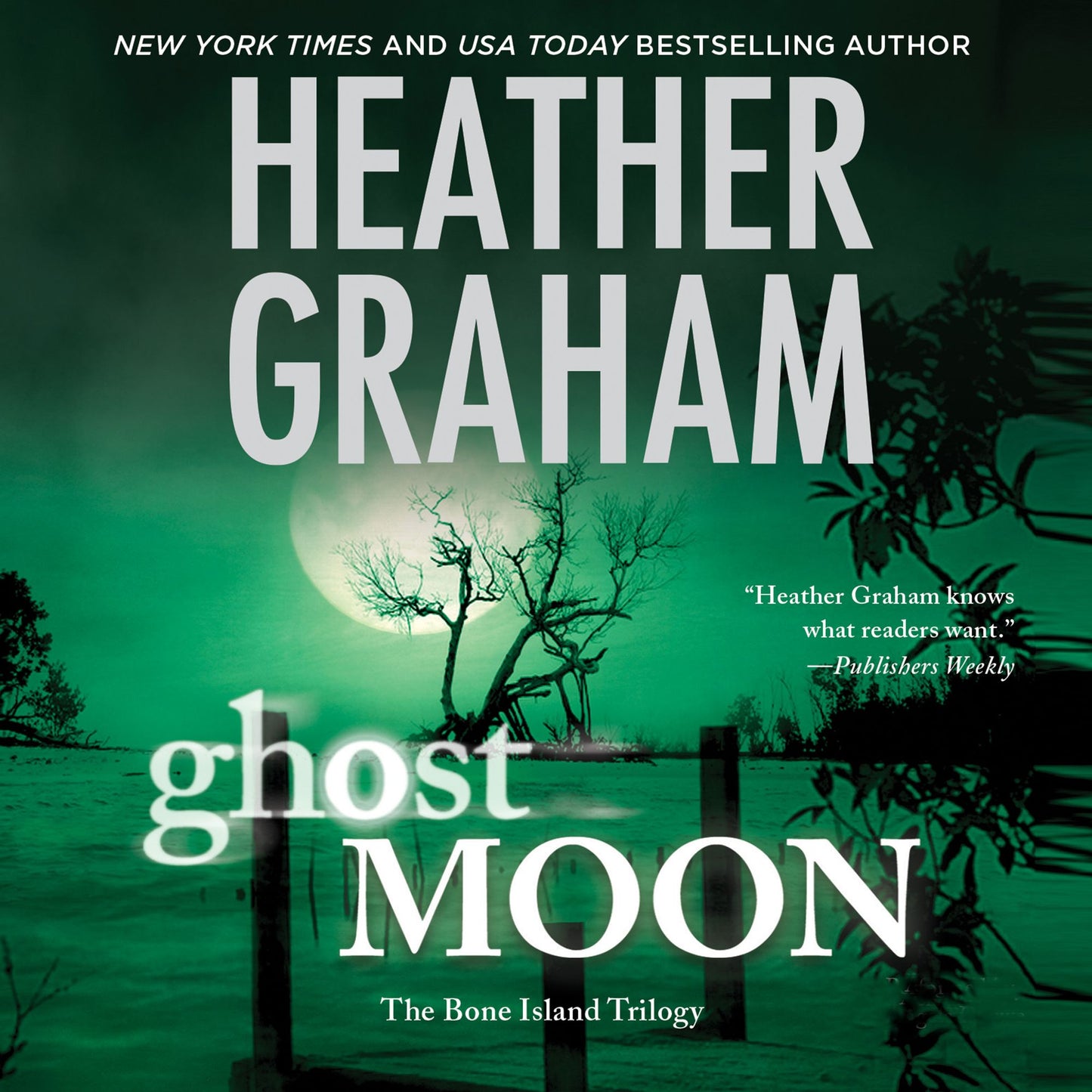 Ghost Moon (Abridged)