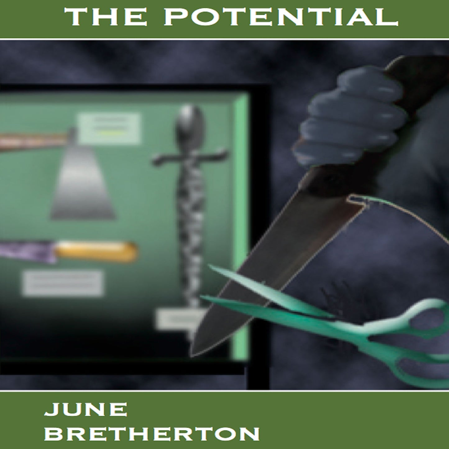 The Potential