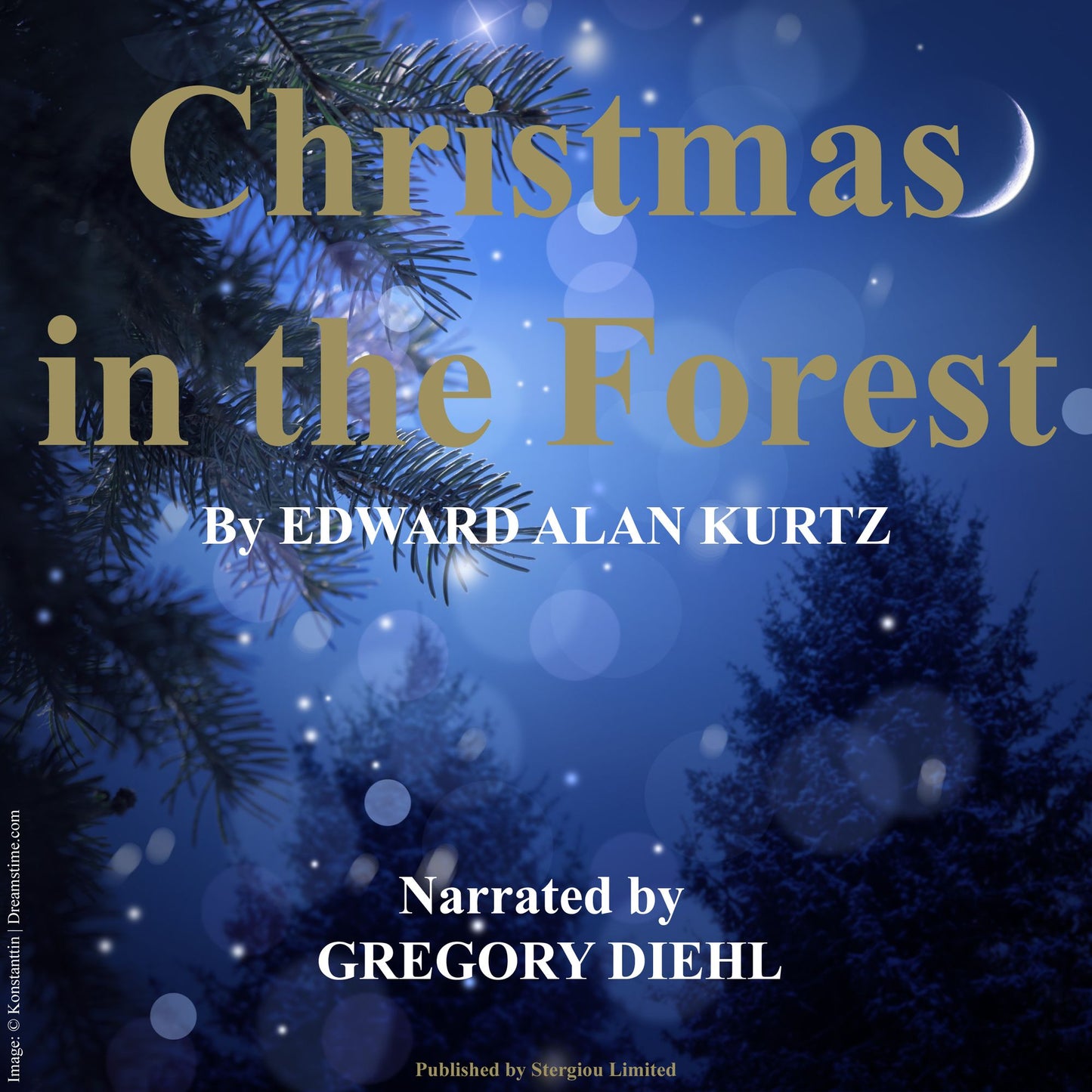 Christmas in the Forest