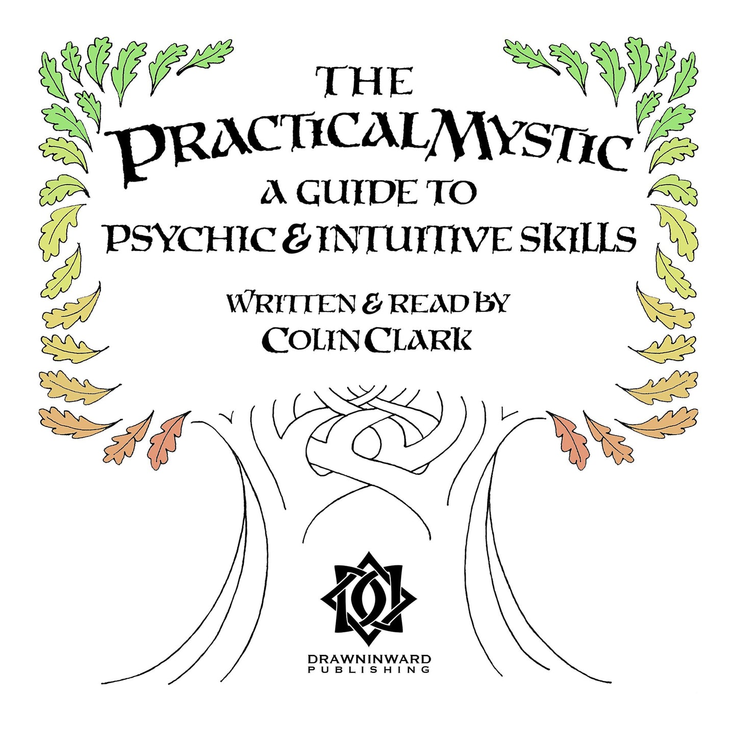 The Practical Mystic: A Guide to Psychic & Intuitive Skills