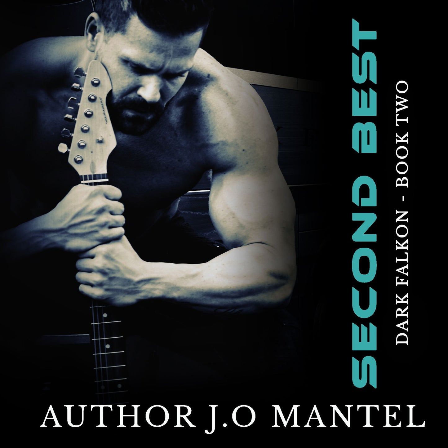 Second Best: Dark Falkon, Book 2