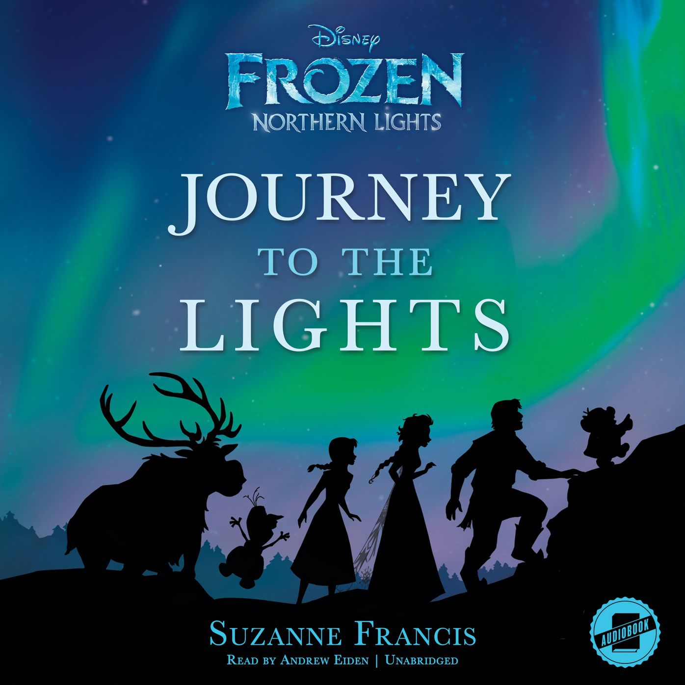 Frozen Northern Lights: Journey to the Lights