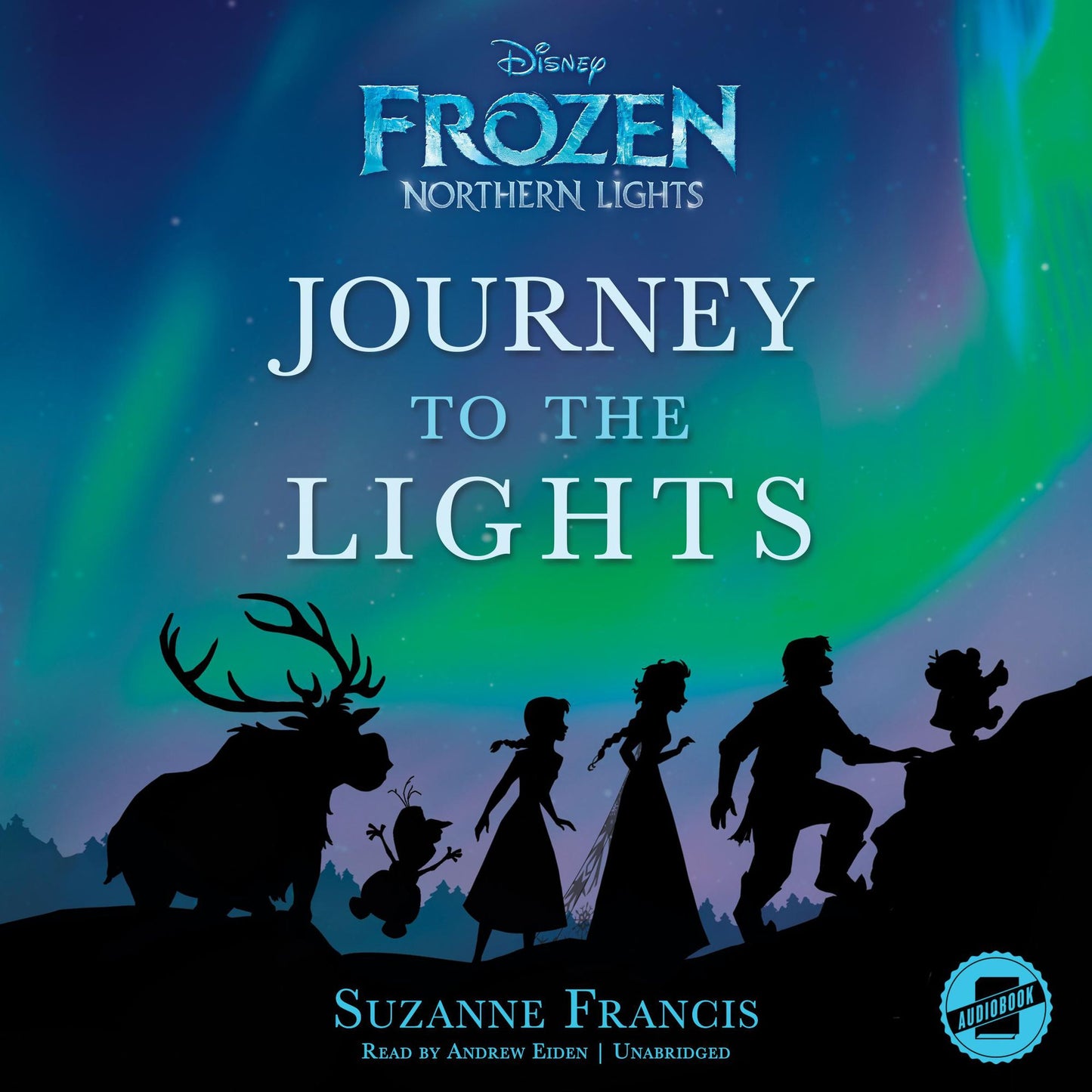 Frozen Northern Lights: Journey to the Lights