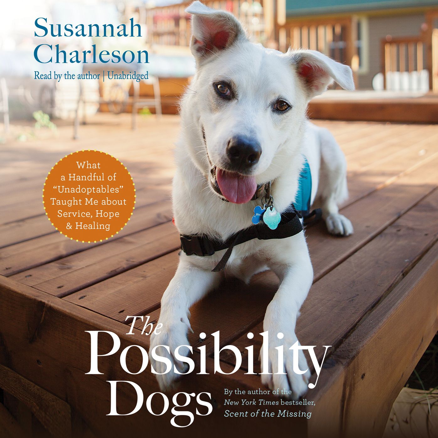 The Possibility Dogs: What a Handful of ¿Unadoptables¿ Taught Me about Service, Hope, and Healing