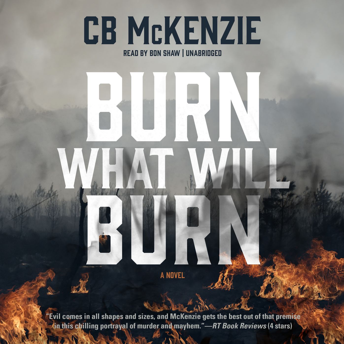Burn What Will Burn: A Novel