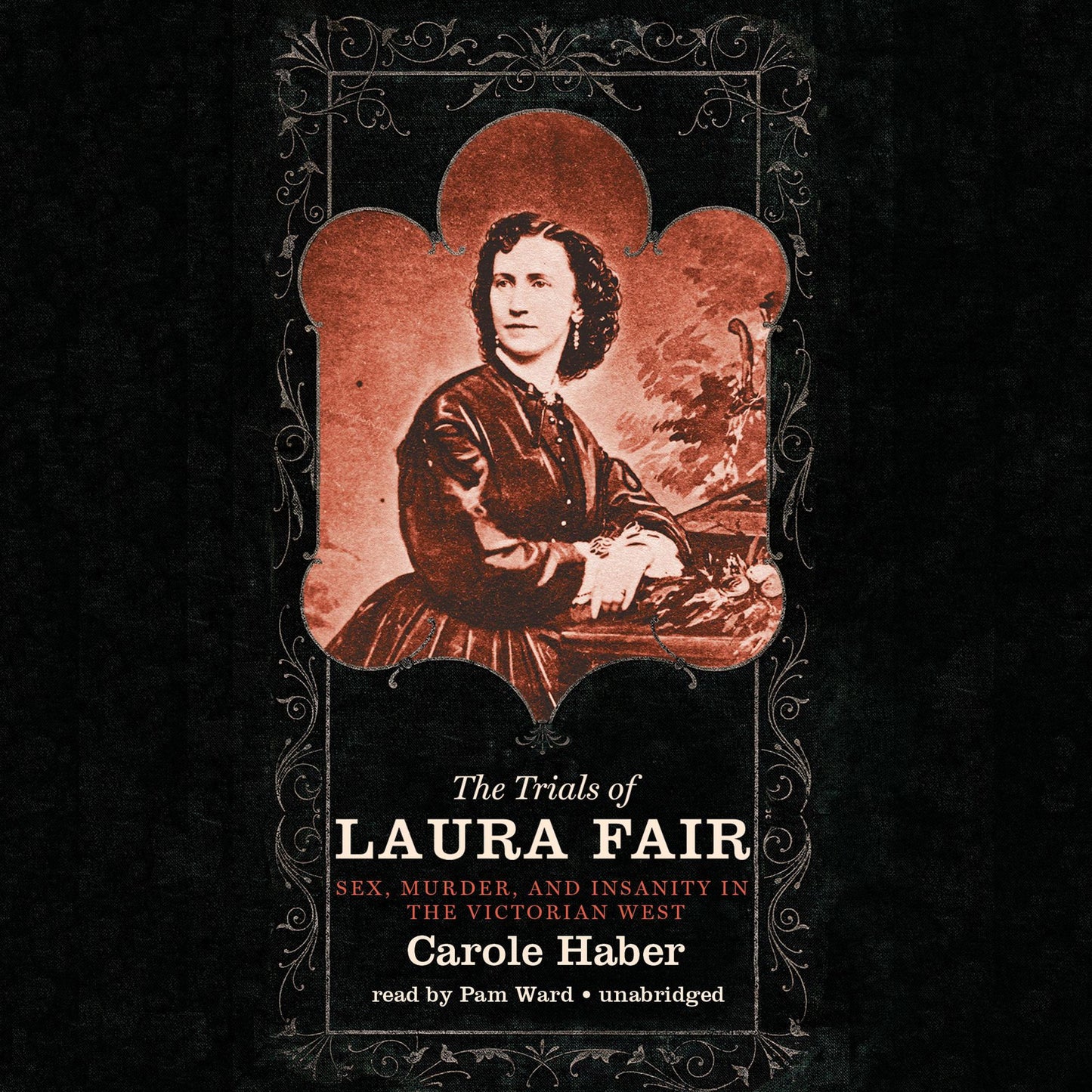 The Trials of Laura Fair: Sex, Murder, and Insanity in the Victorian West