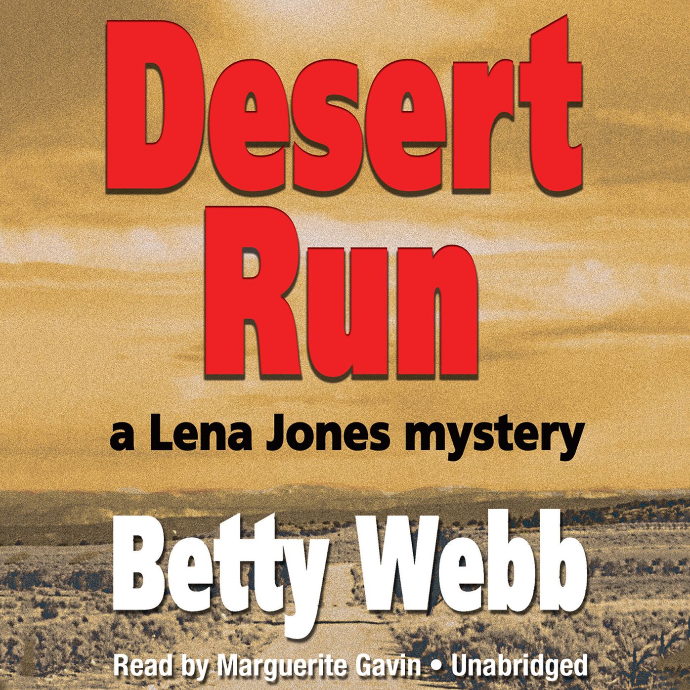 Desert Run: A Lena Jones Mystery