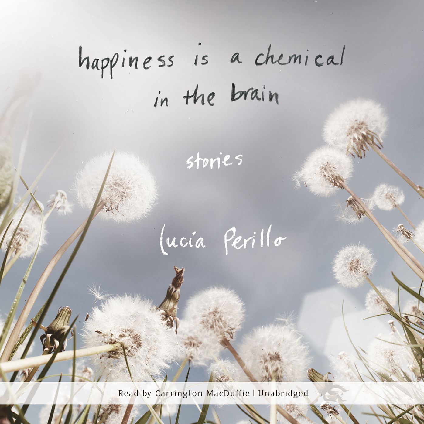 Happiness Is a Chemical in the Brain: Stories