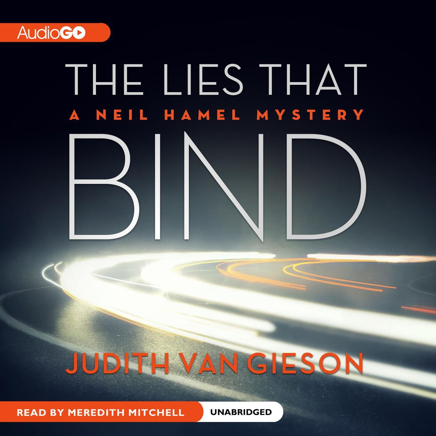The Lies That Bind: A Neil Hamel Mystery