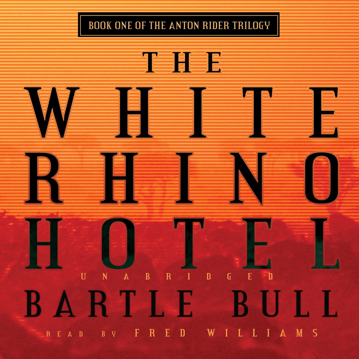 The White Rhino Hotel: Book One of the Anton Rider Trilogy