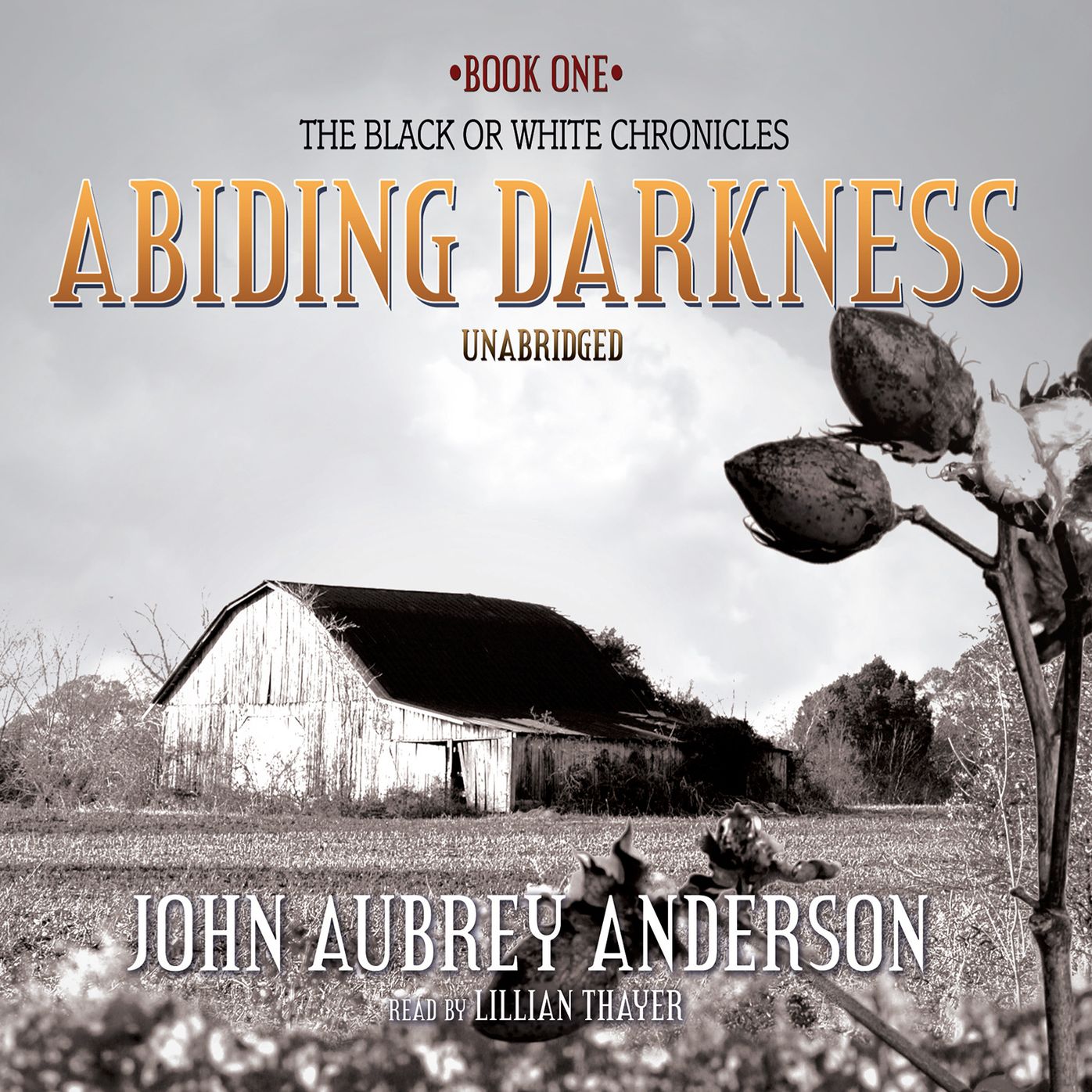Abiding Darkness : A Novel