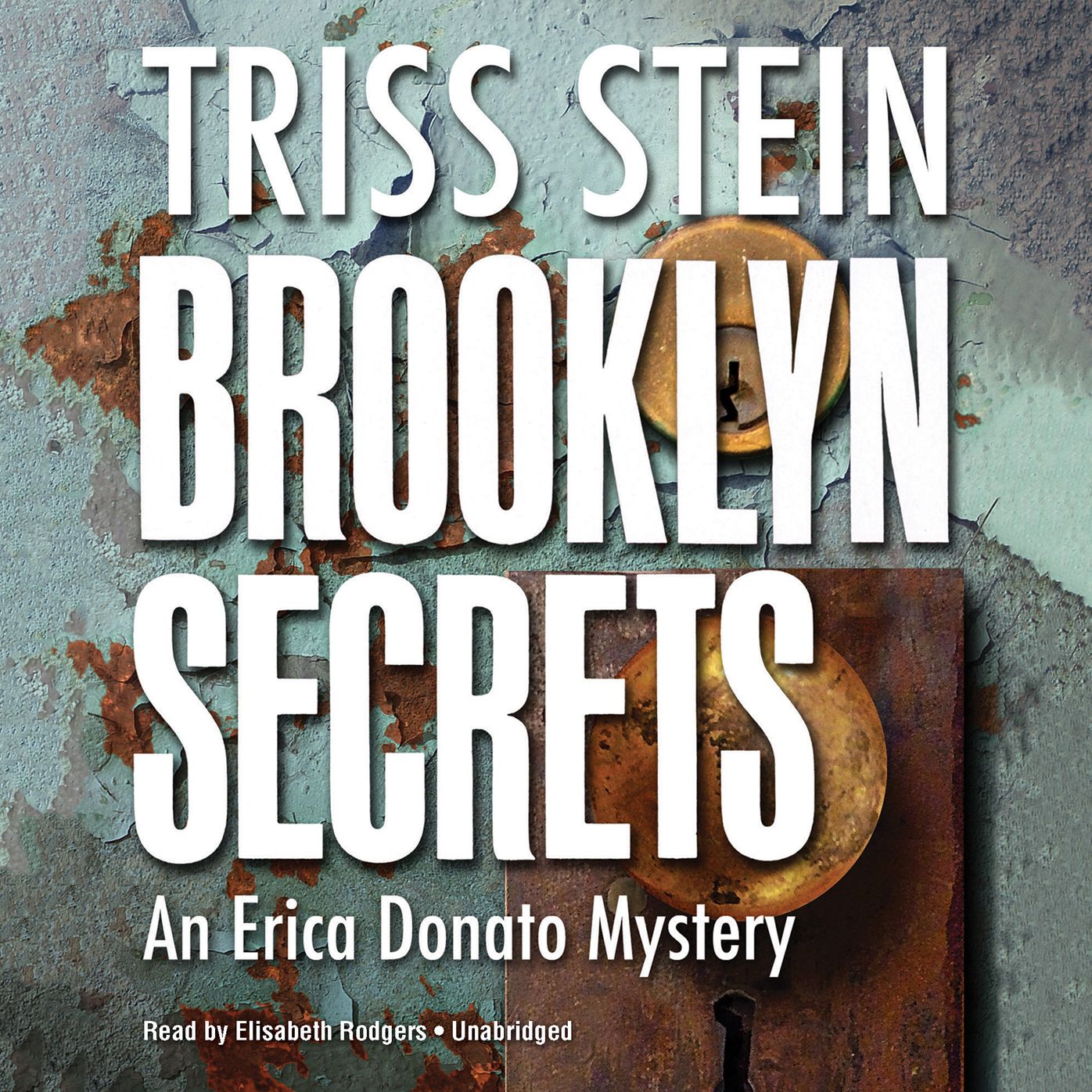 Brooklyn Secrets: An Erica Donato Mystery