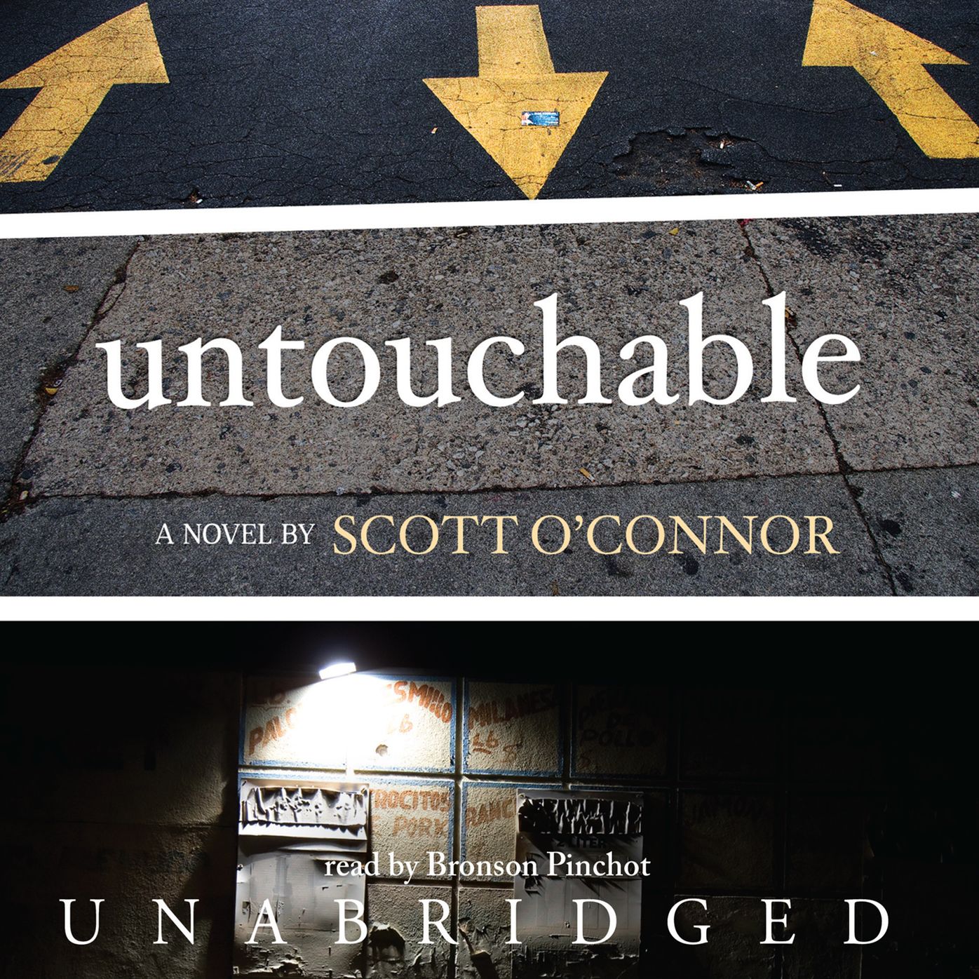 Untouchable: A Novel