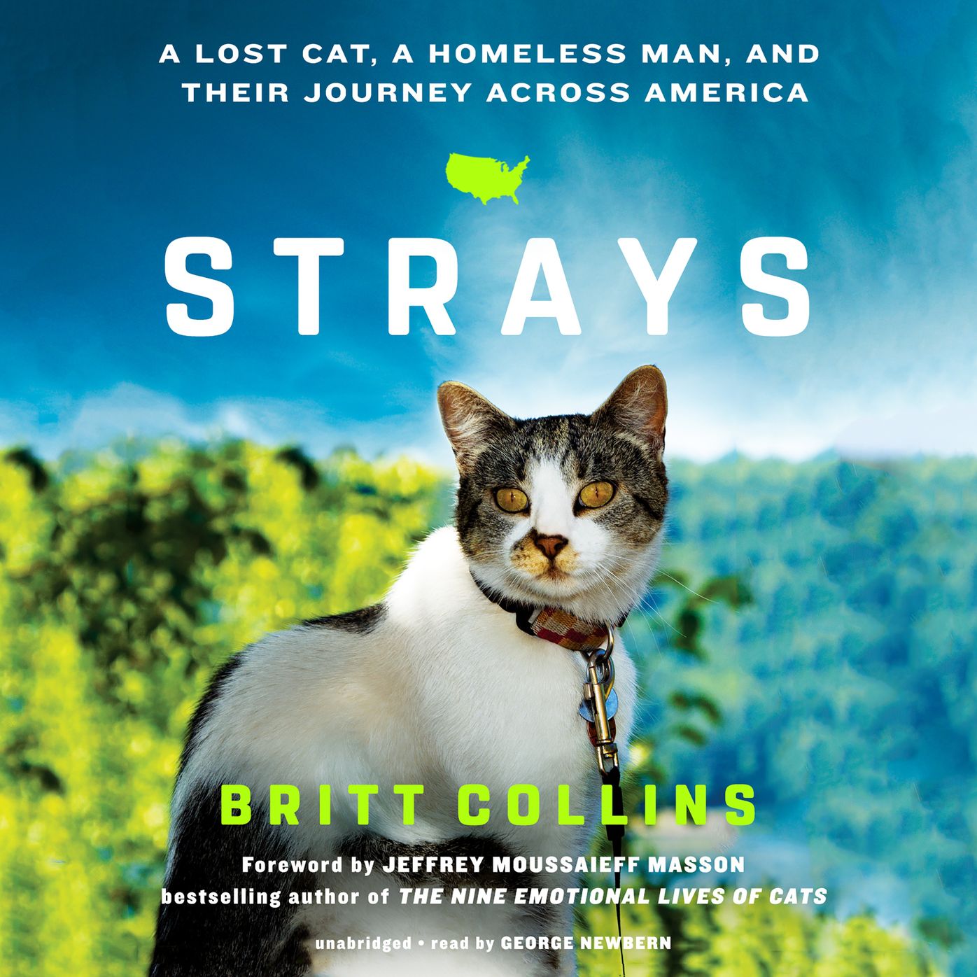 Strays: A Lost Cat, a Drifter, and Their Journey across America
