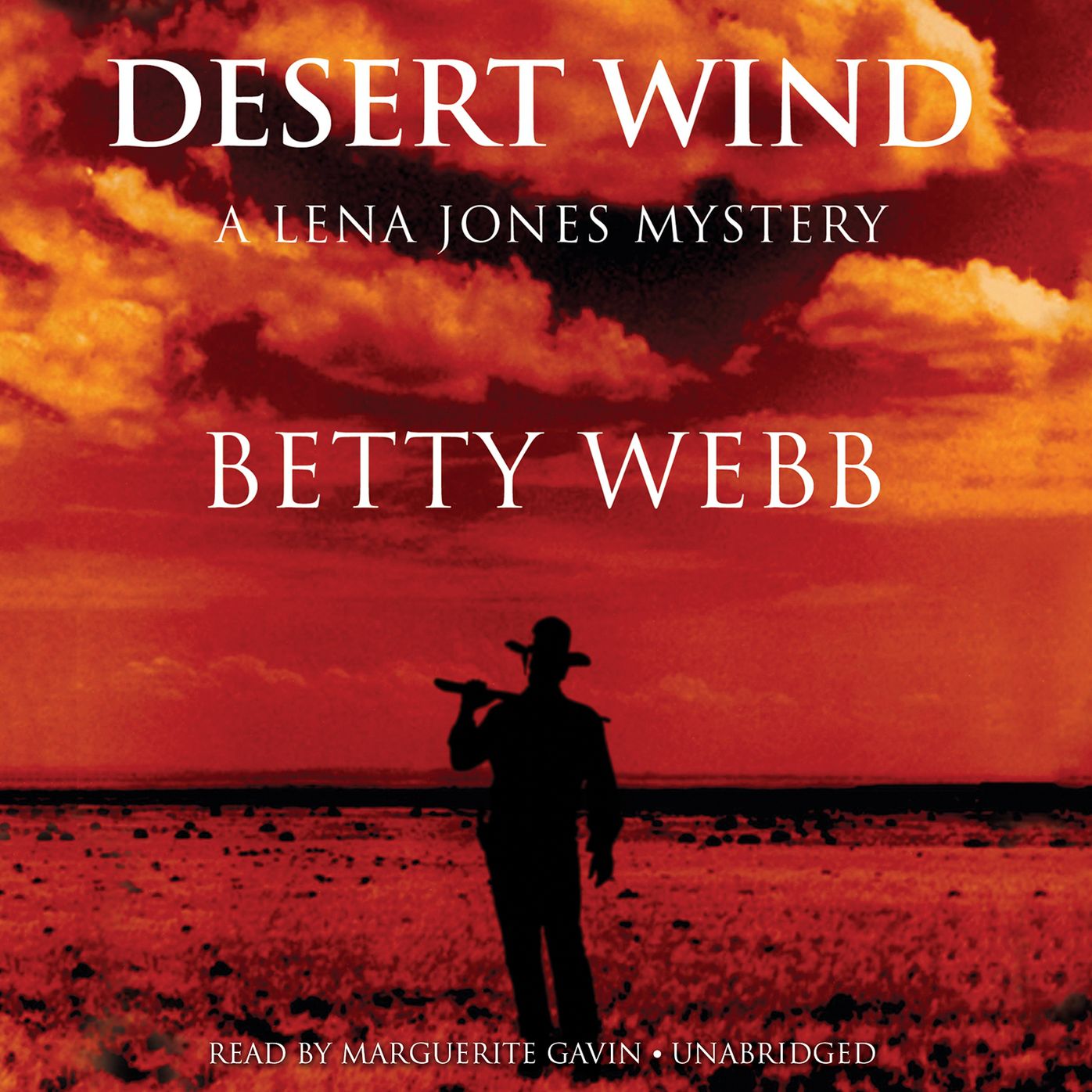 Desert Wind: A Lena Jones Mystery