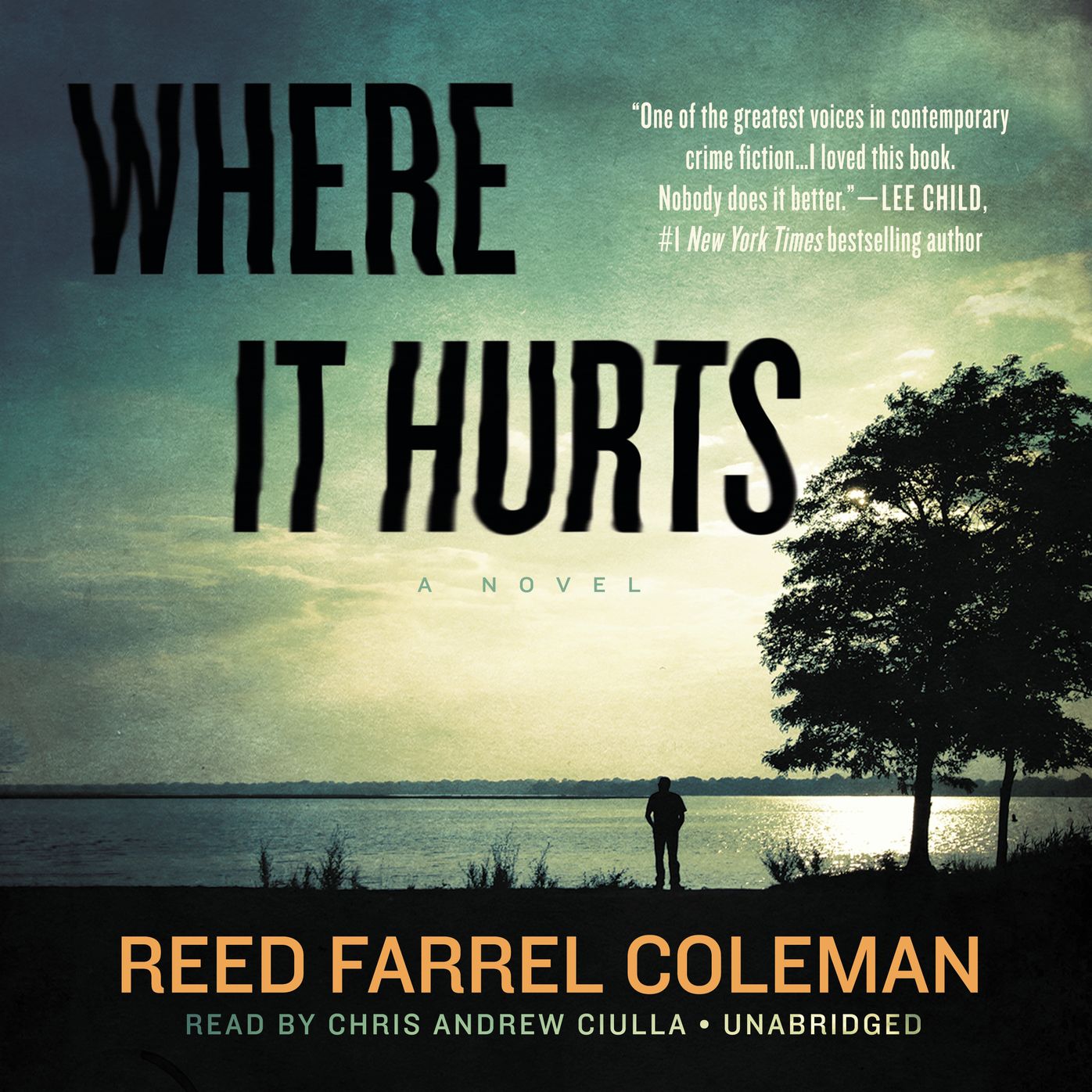Where It Hurts: A Novel
