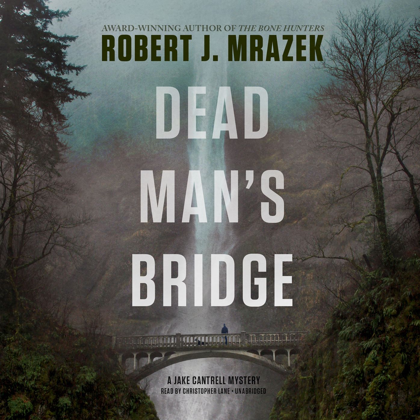 Dead Man's Bridge: A Jake Cantrell Mystery