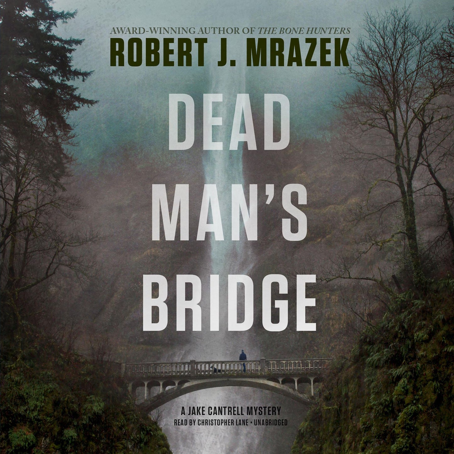 Dead Man's Bridge: A Jake Cantrell Mystery