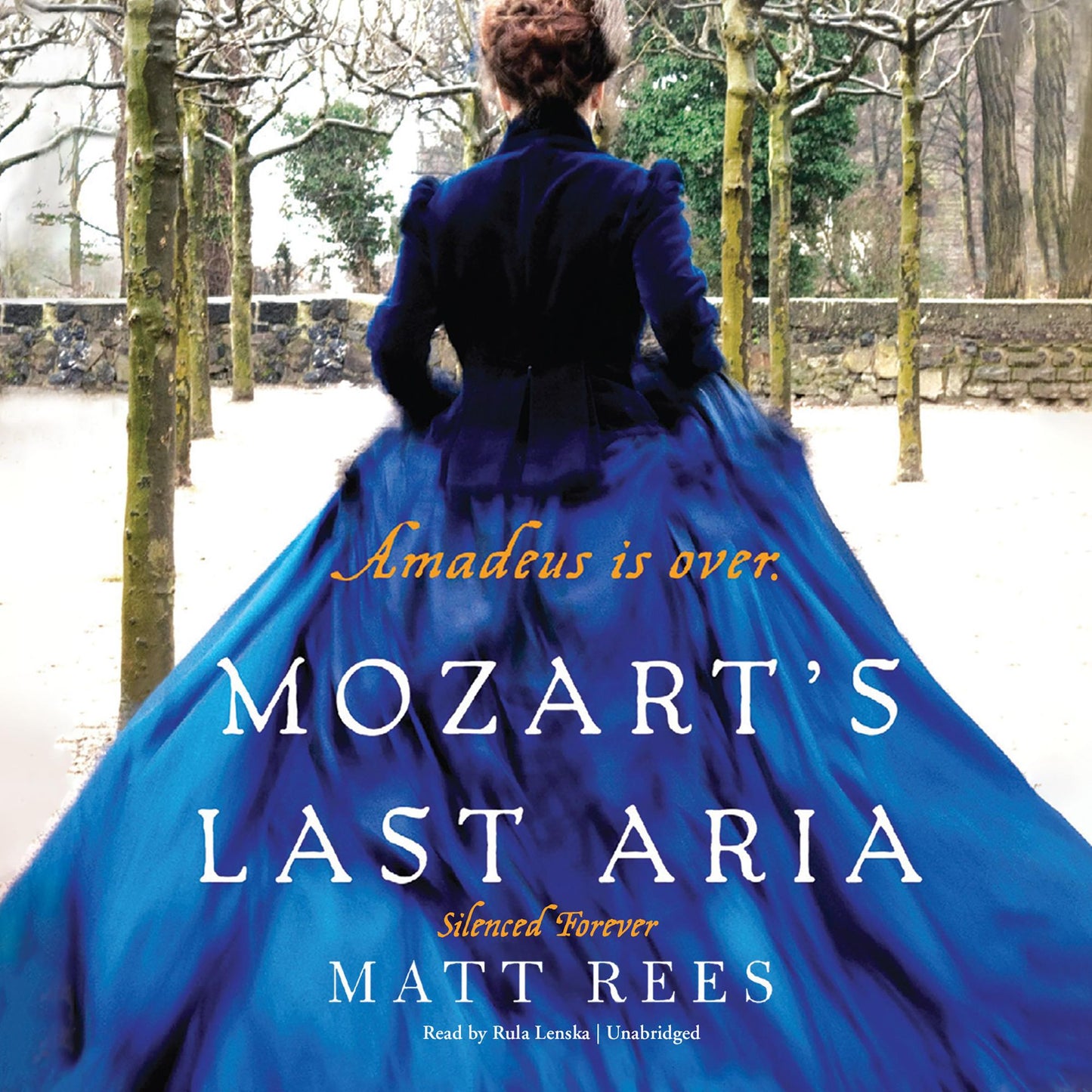 Mozart's Last Aria: A Novel