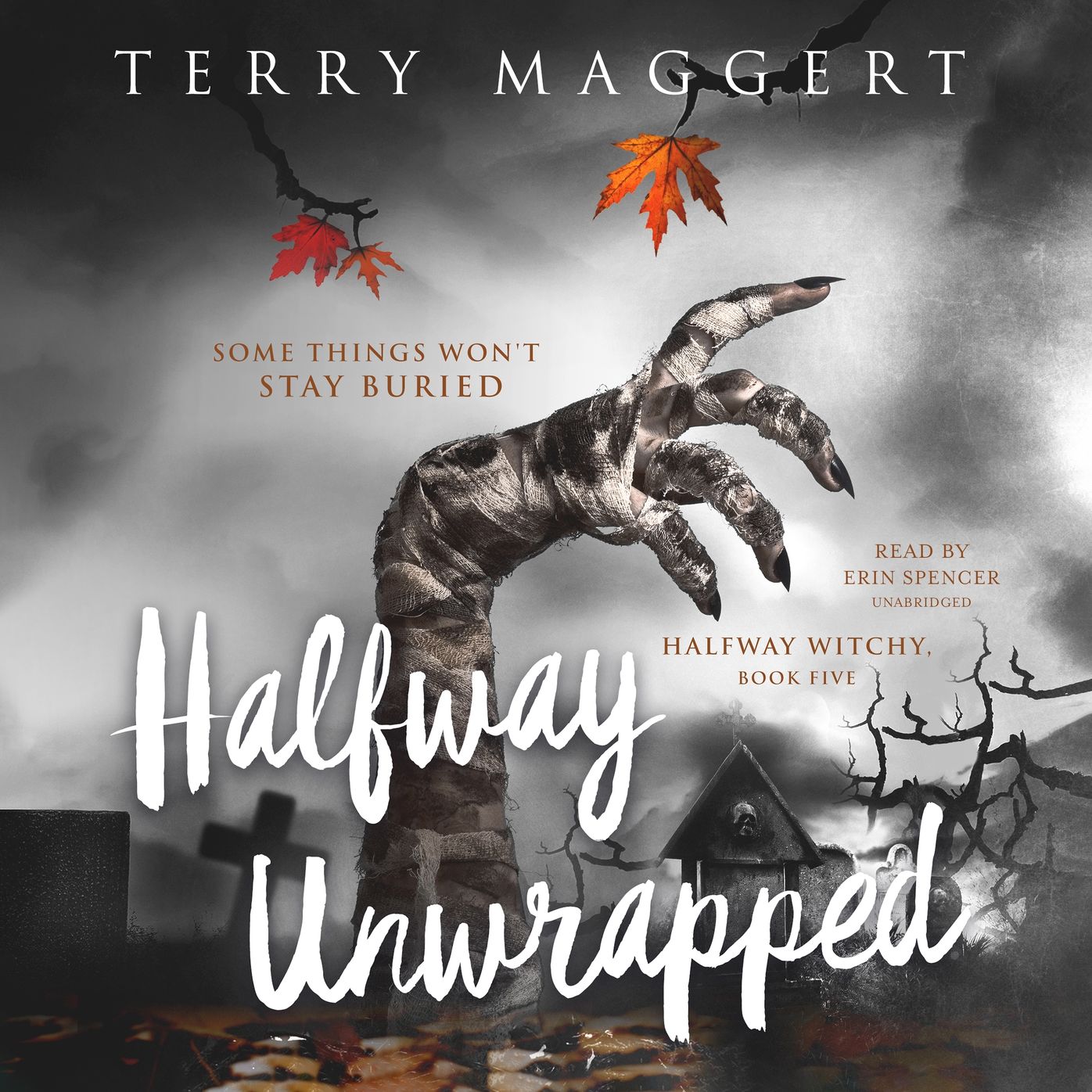 Halfway Unwrapped: Halfway Witchy, Book Five
