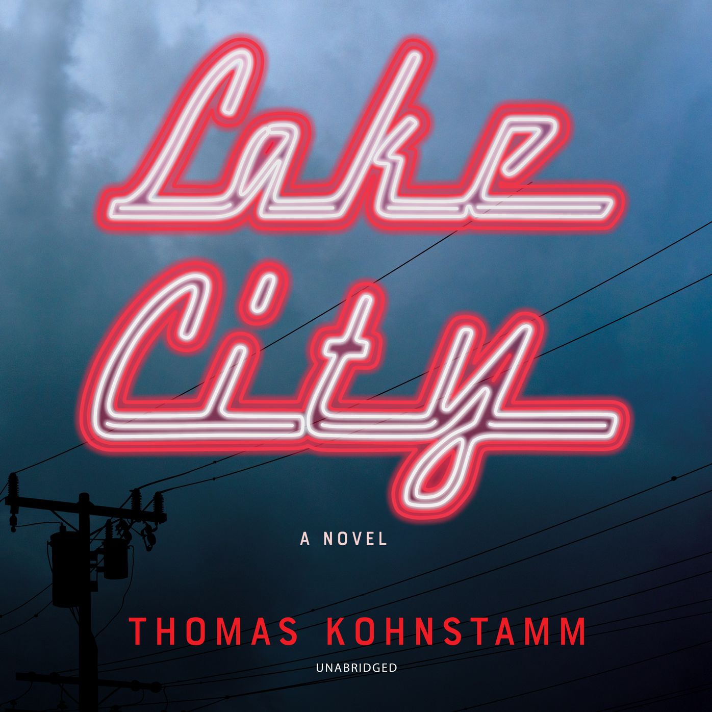 Lake City: A Novel