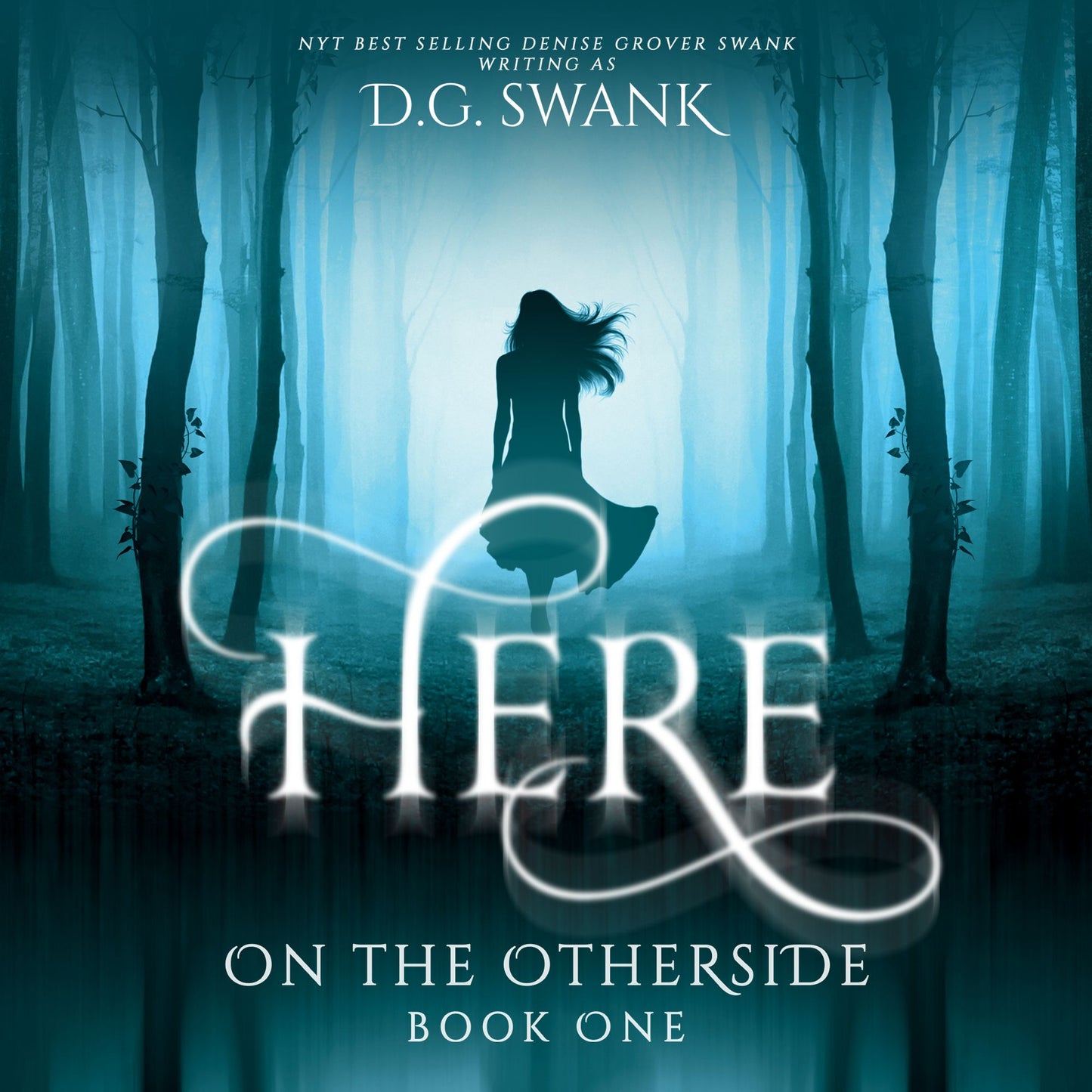 Here: On the Otherside Book One