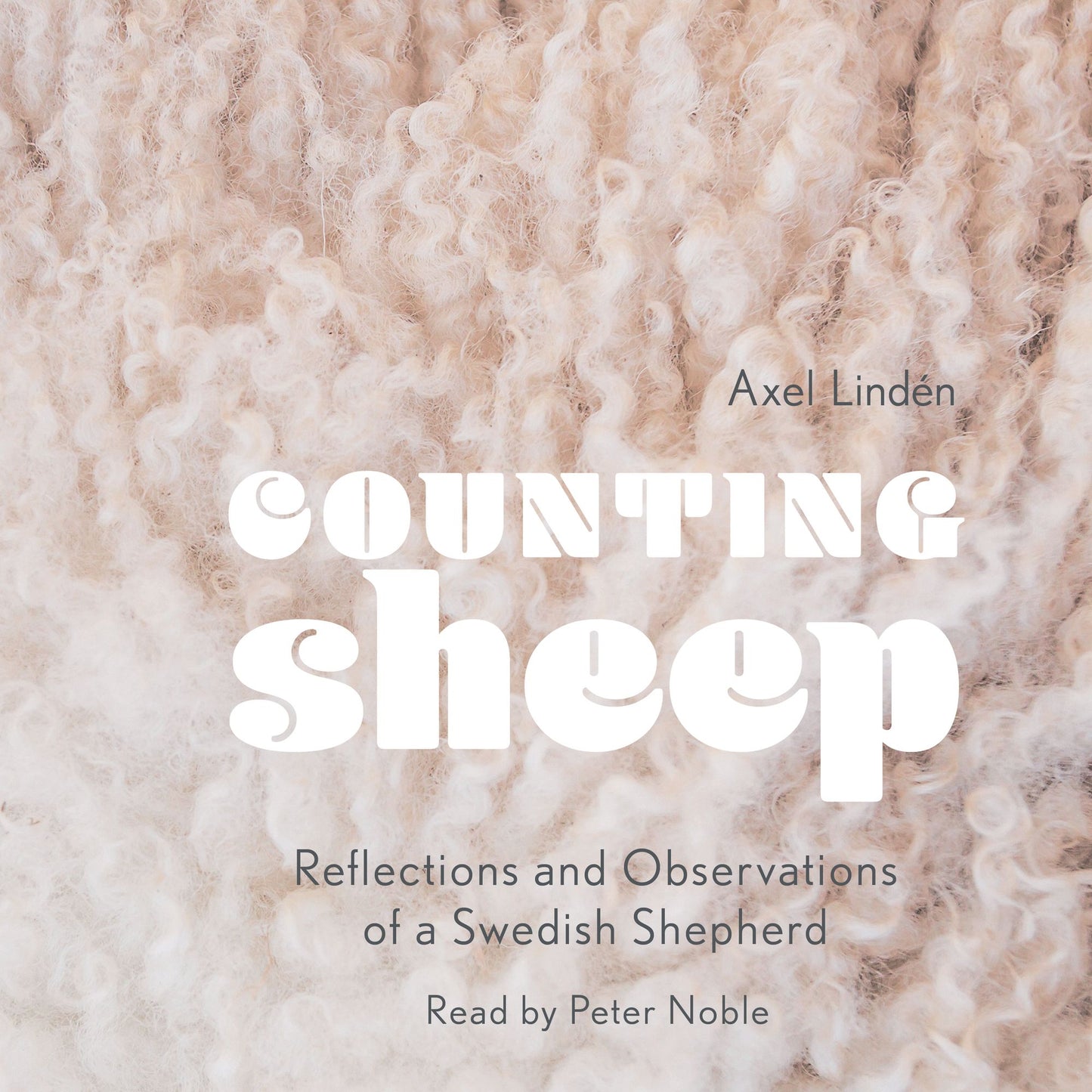 Counting Sheep: Reflections and Observations of a Swedish Shepherd