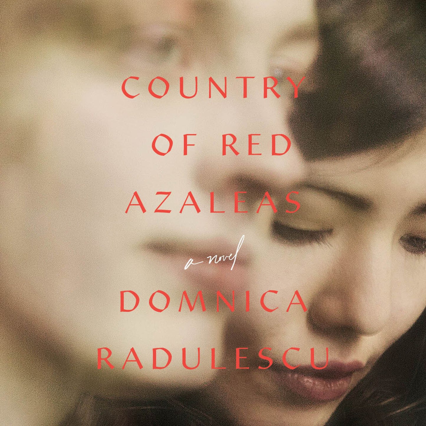 Country of Red Azaleas