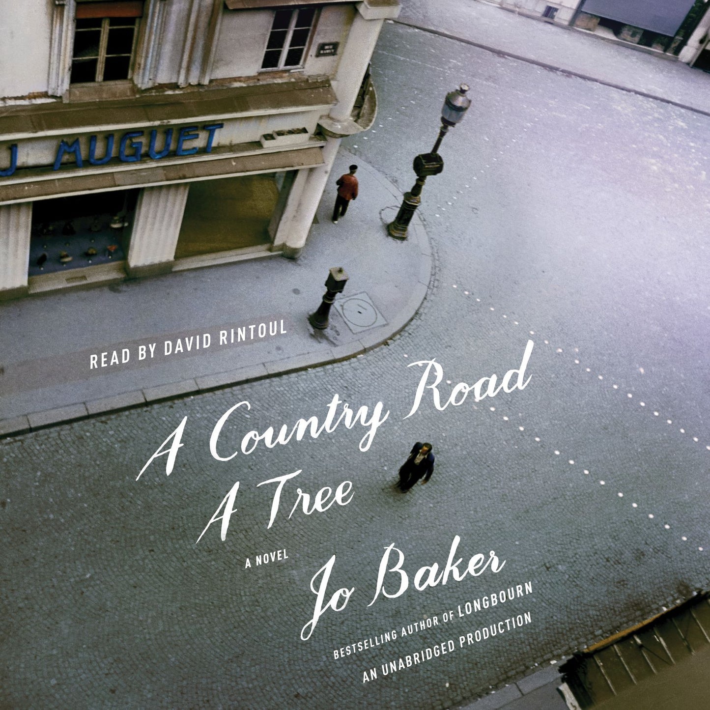 A Country Road Tree: A Novel