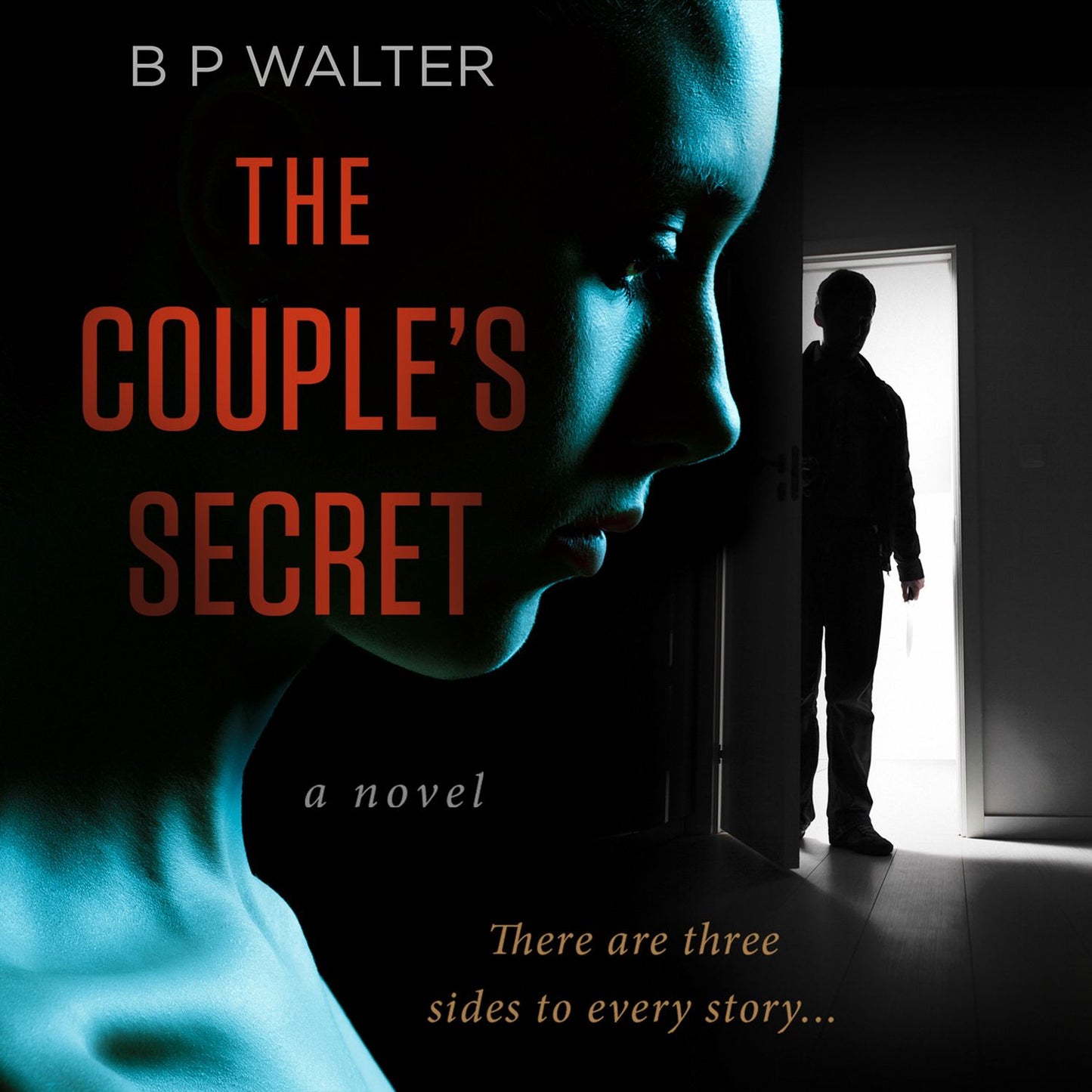 The Couple's Secret: a novel
