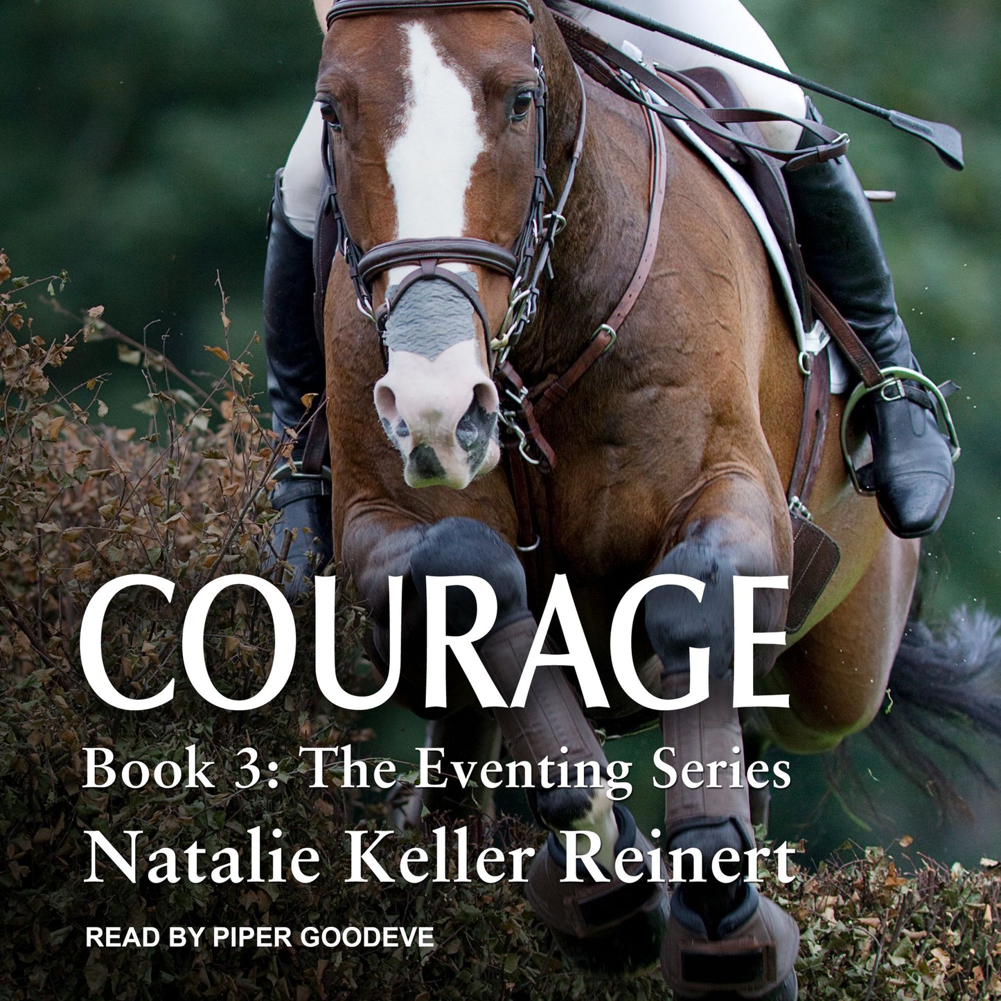 Courage: The Eventing, Book 3