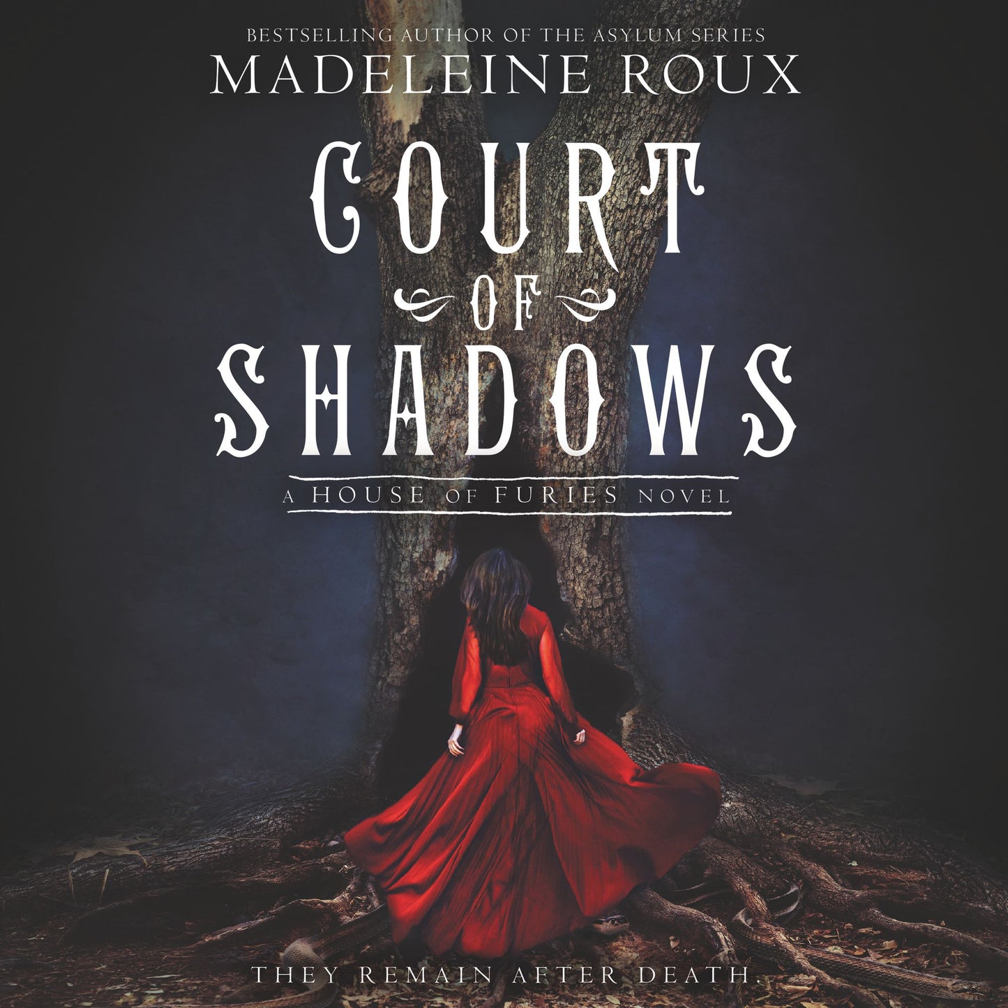 Court of Shadows: A House of Furies Novel