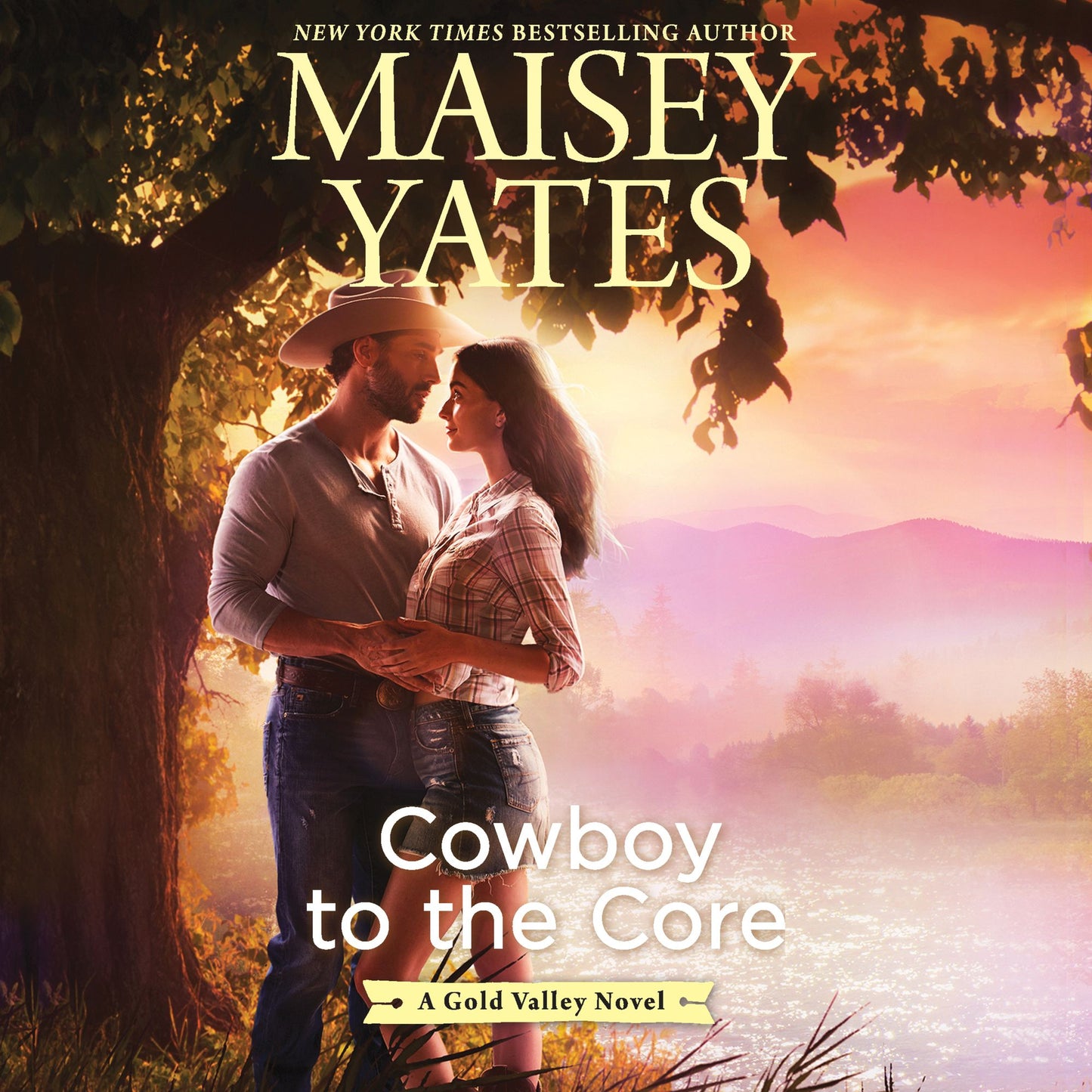 Cowboy to the Core: A Gold Valley Novel