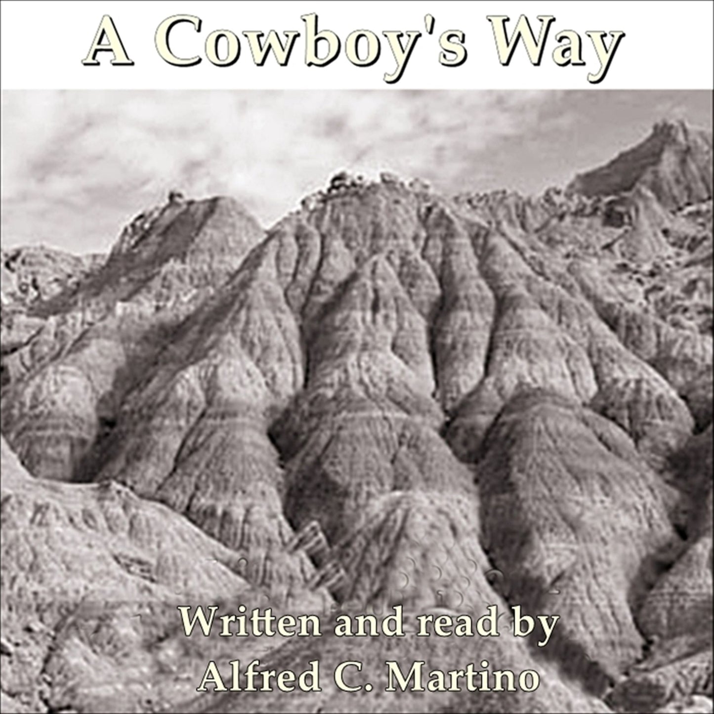 A Cowboy's Journey