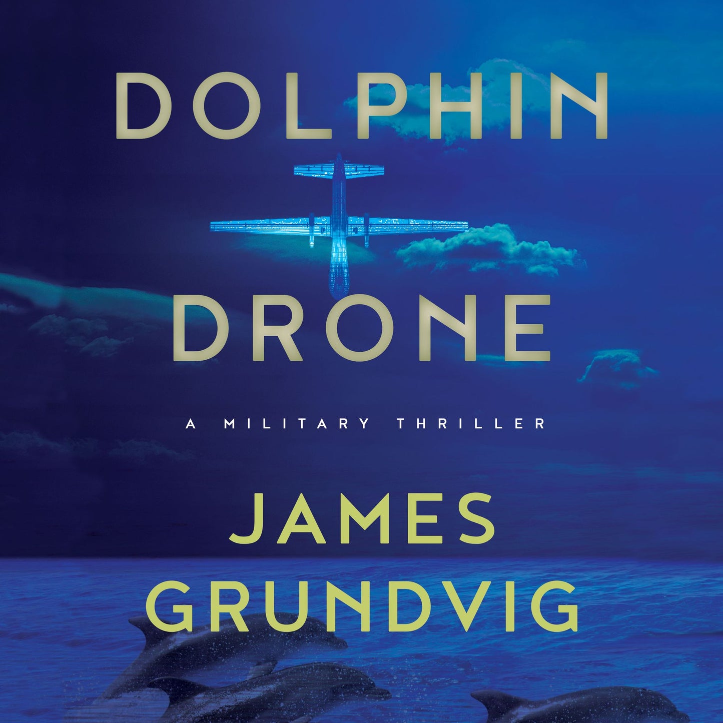 Dolphin Drone