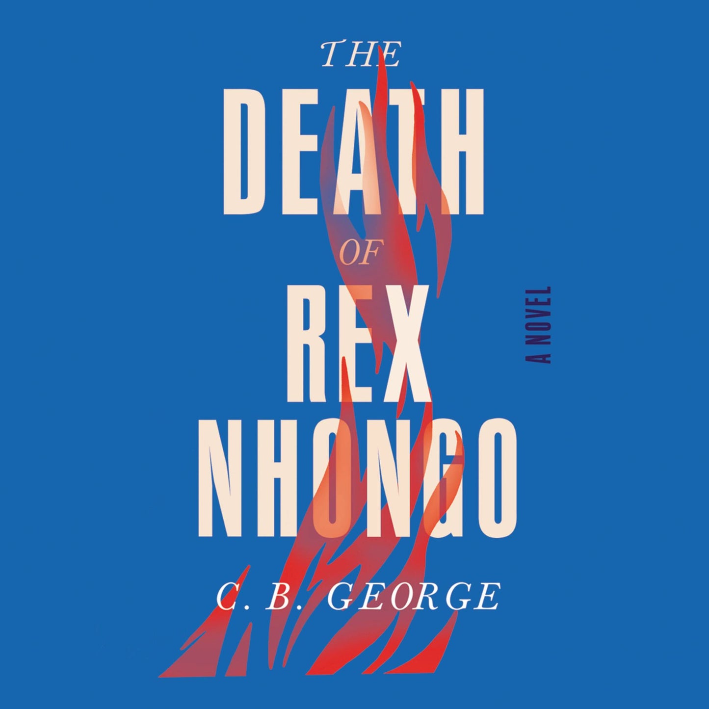 The Death of Rex Nhongo: A Novel