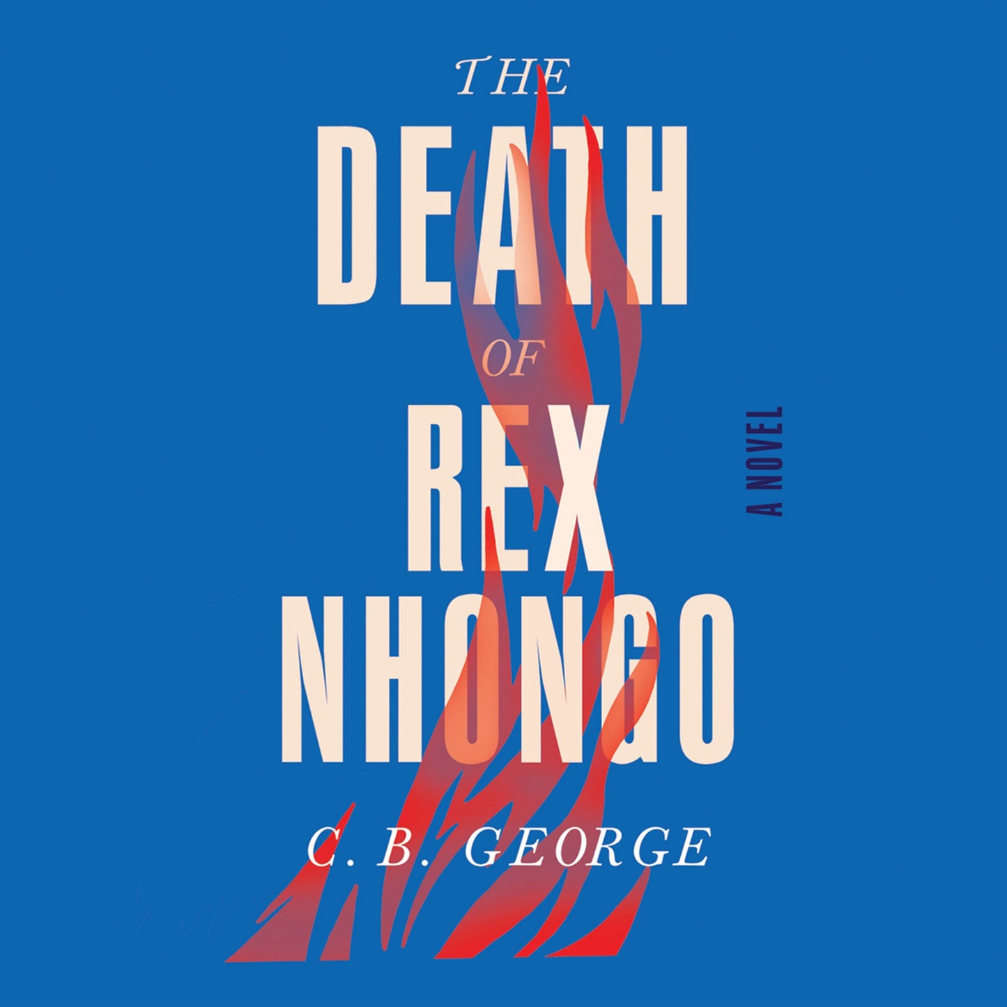 The Death of Rex Nhongo: A Novel