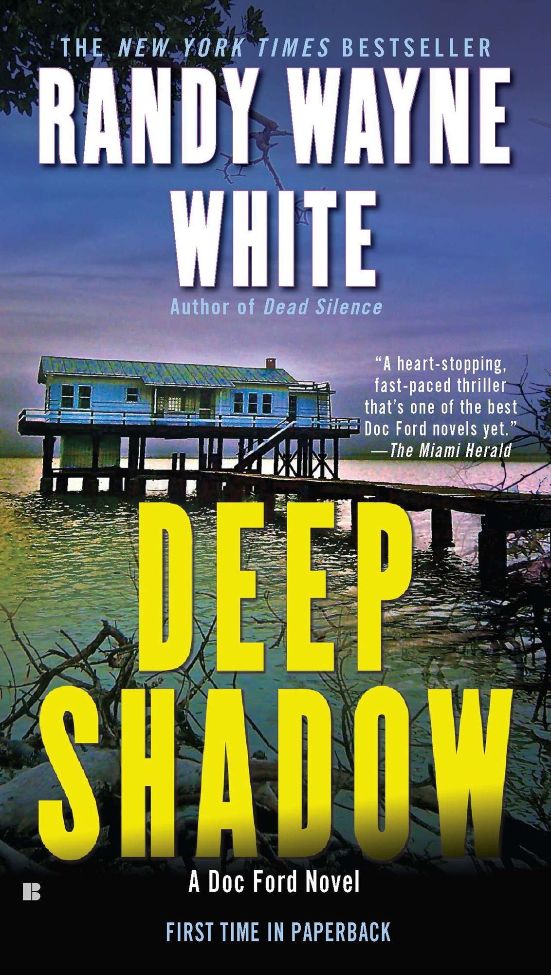 Deep Shadow