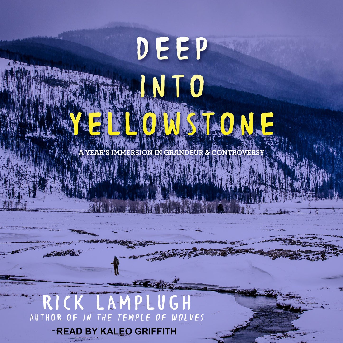 Deep into Yellowstone: A Year's Immersion in Grandeur and Controversy