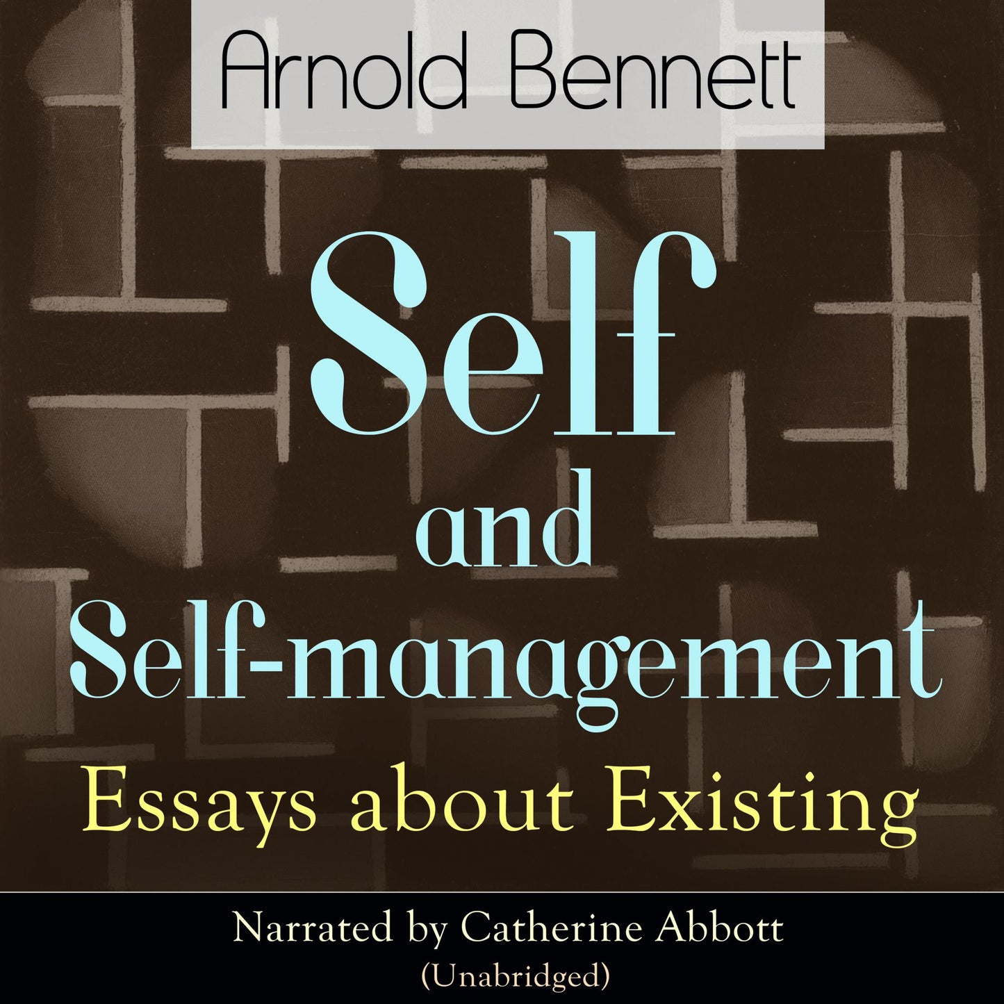 Self and Self-Management: Essays About Existing