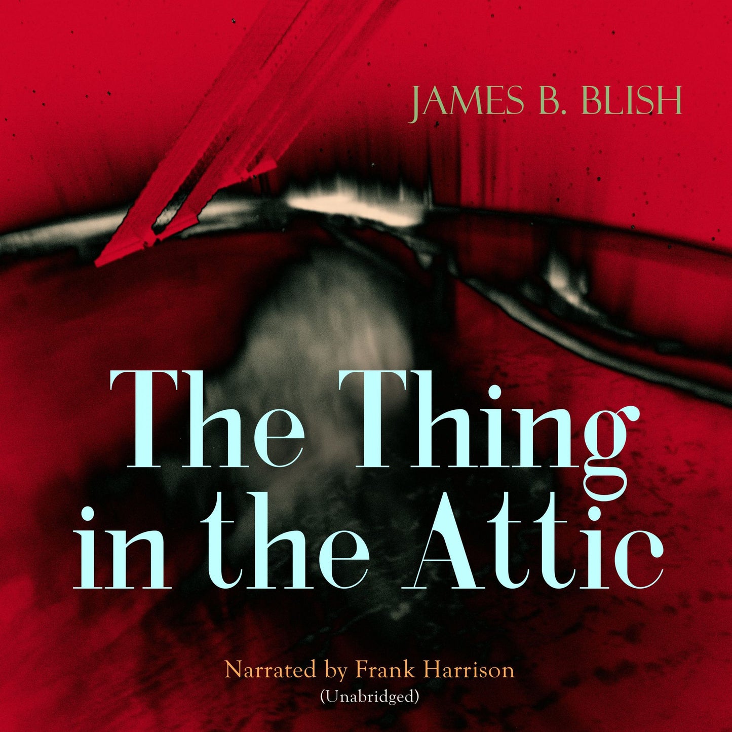 The Thing in the Attic: Unabridged
