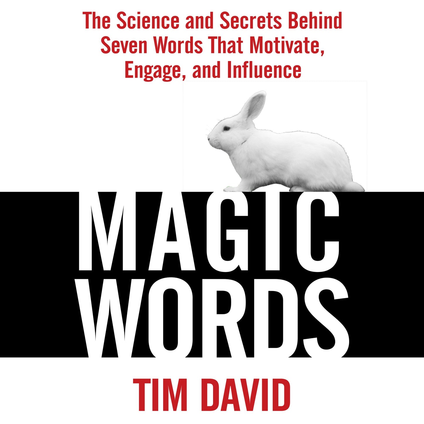 Magic Words: The Science and Secrets Behind Seven Words That Motivate, Engage, and Influence
