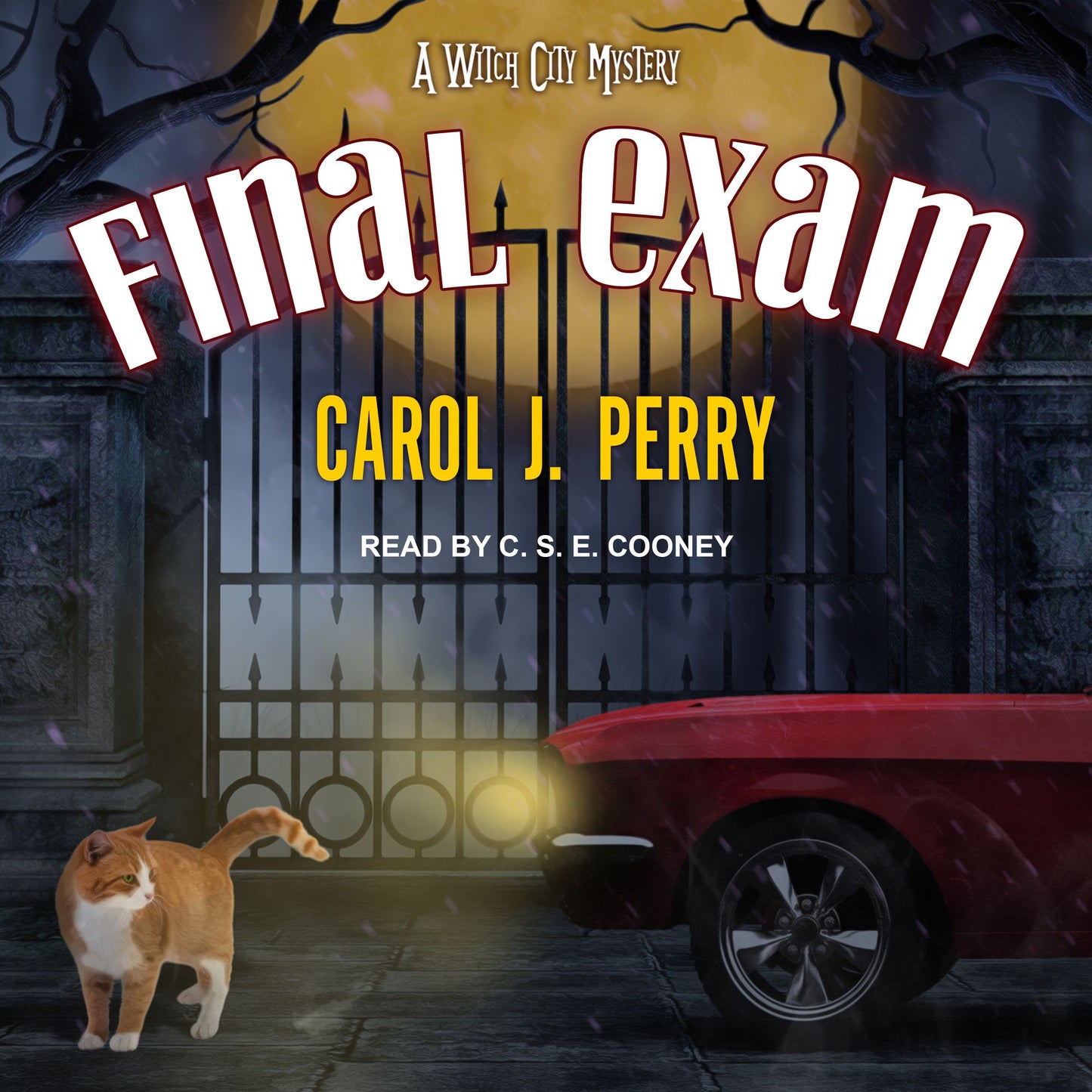 Final Exam: A Witch City Mystery