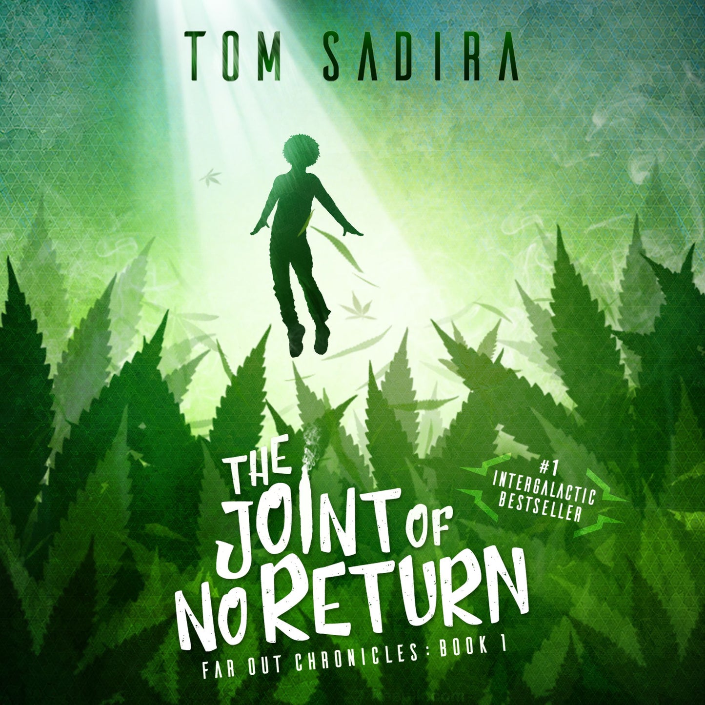 The Joint of No Return : (Far Out Chronicles: Book One)