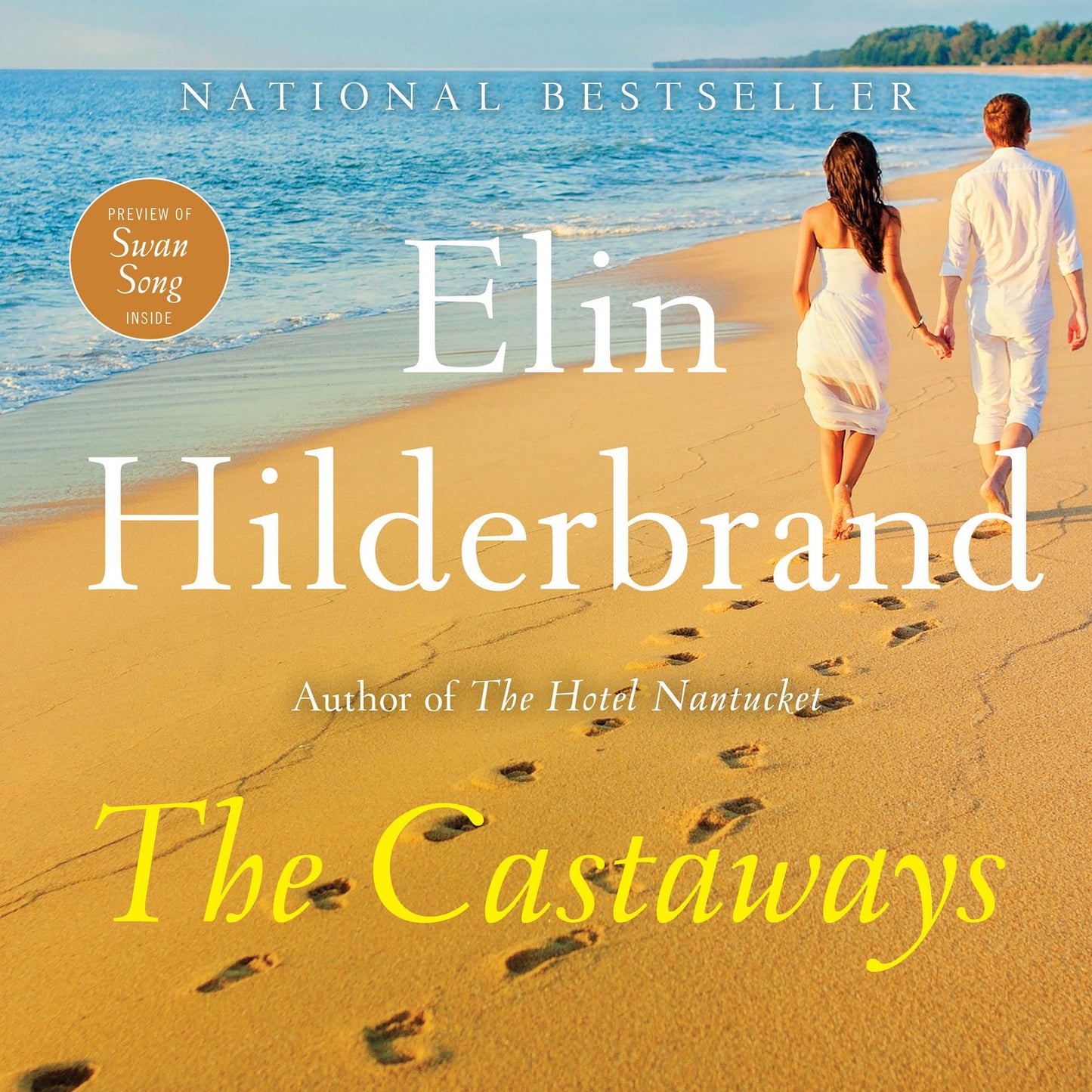The Castaways: A Novel