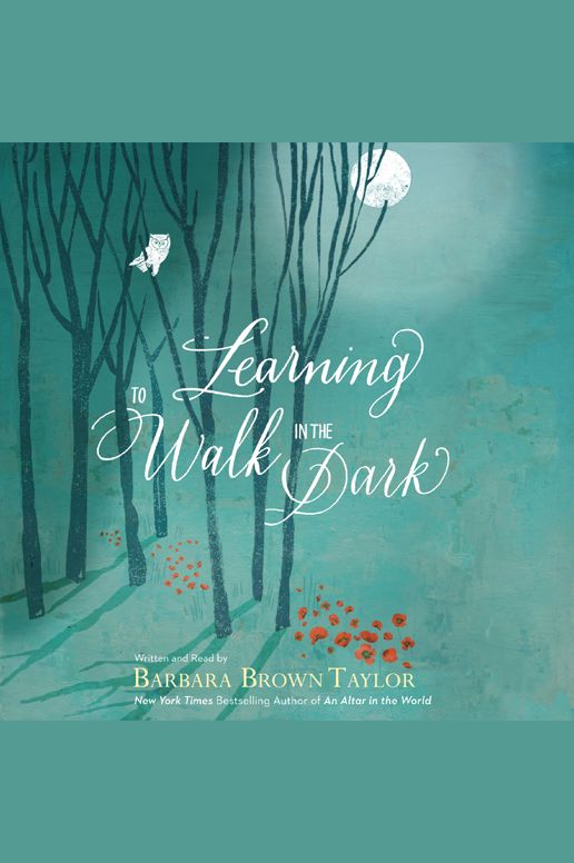 Learning to Walk in the Dark: Because Sometimes God Shows Up at Night