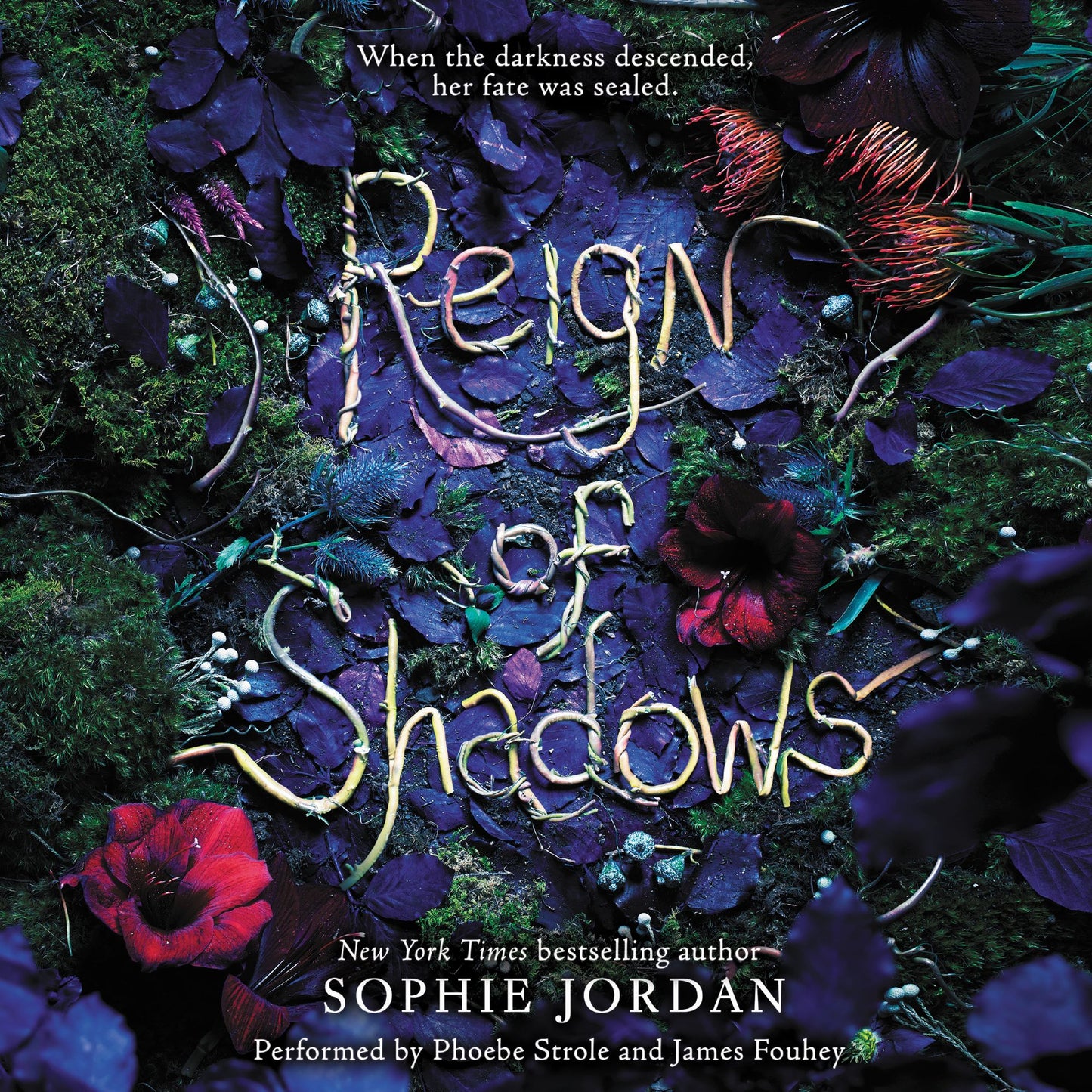 Reign of Shadows