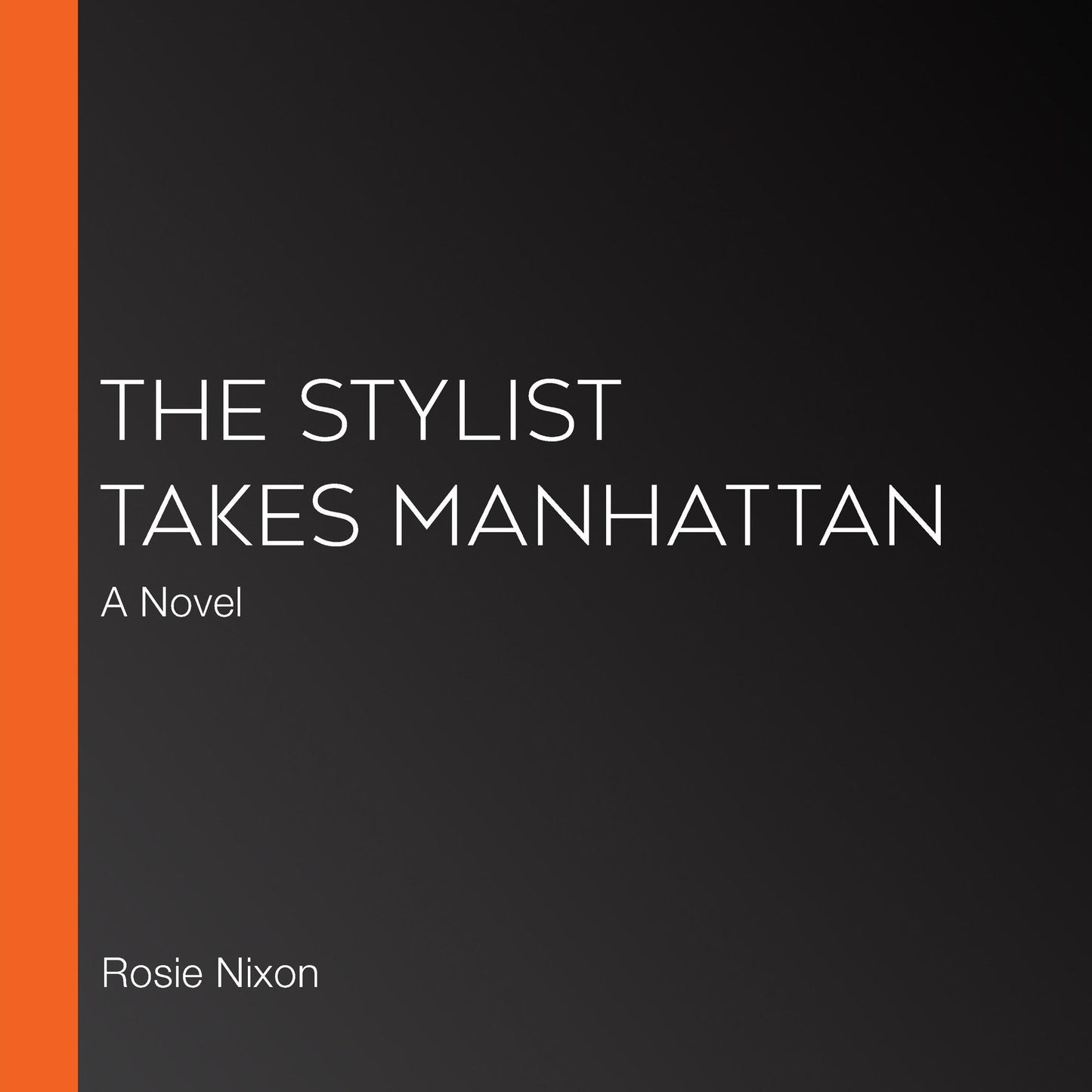 The Stylist Takes Manhattan: A Novel