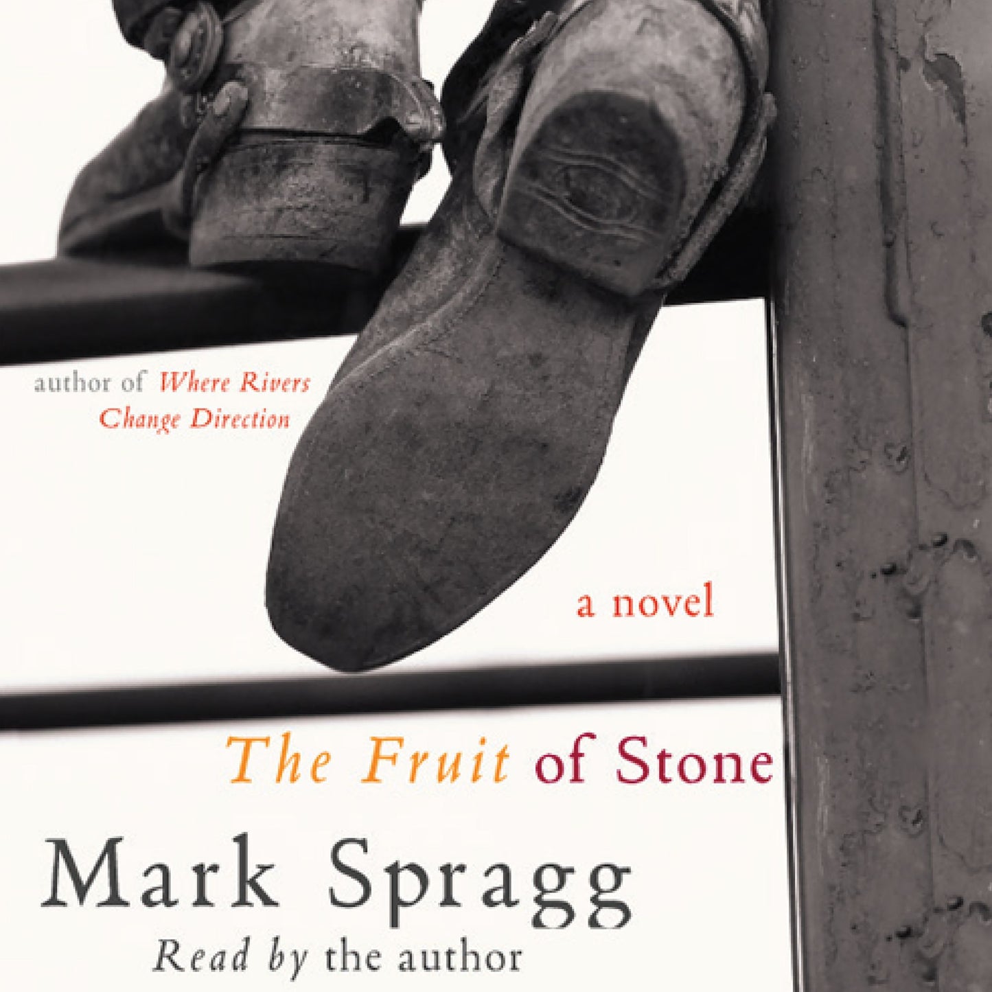 The Fruit of Stone: a novel